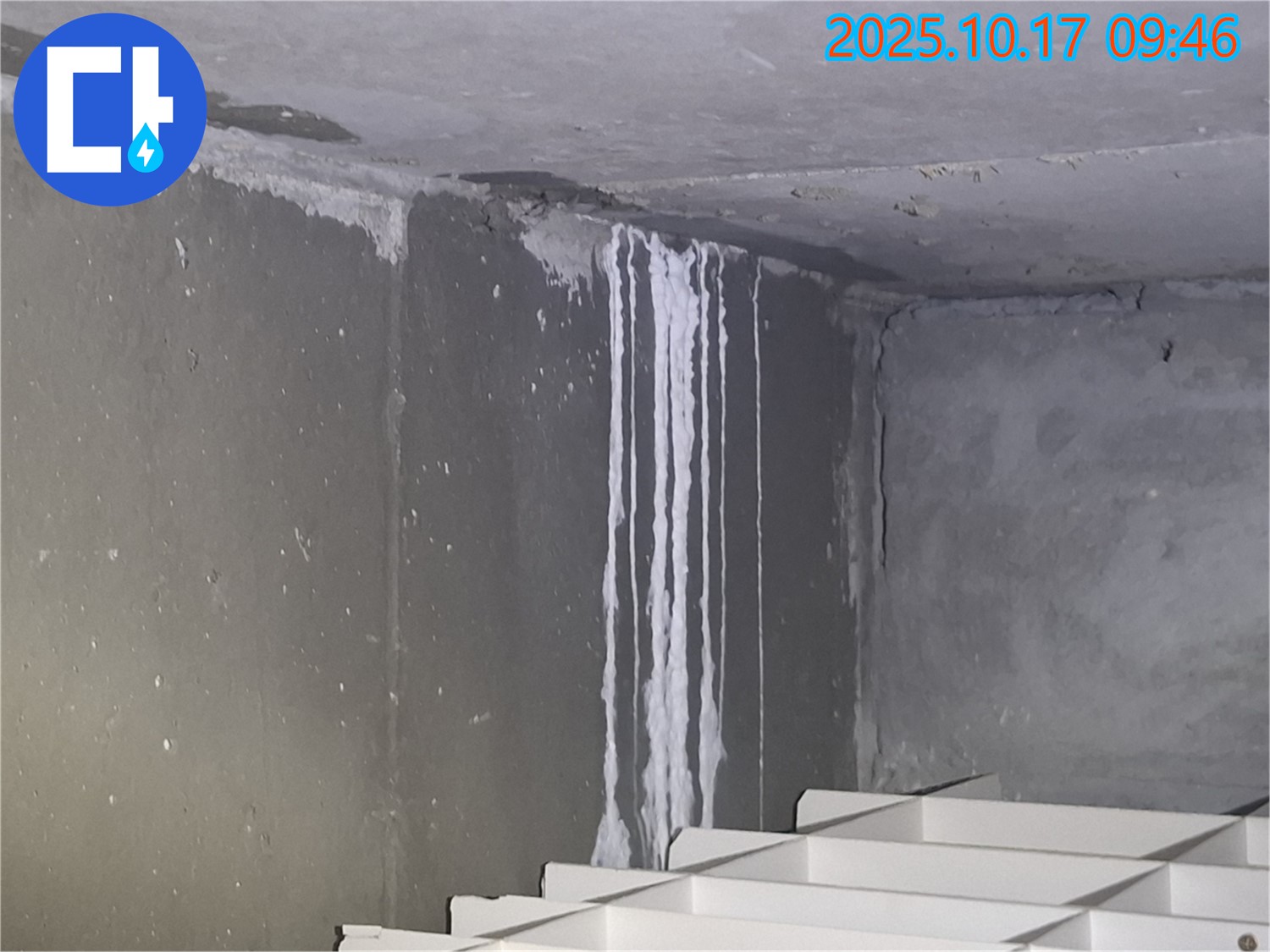 분당구 삼평동 봇들마을2단지 아파트 계단실 벽면 누수 - 벽면을 따라 흐르는 석회수 흔적이 누수의 심각성을 보여줍니다.