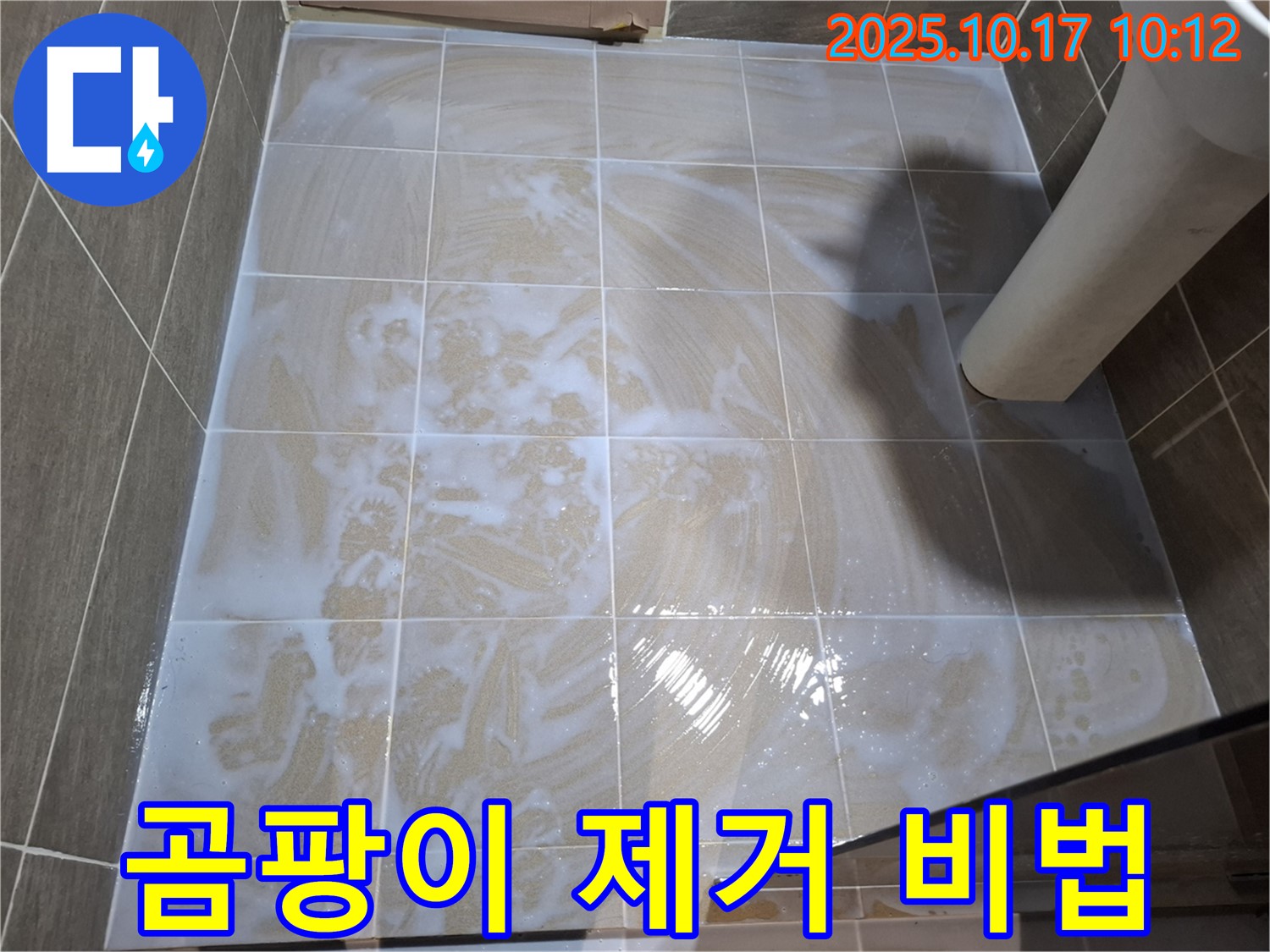 곰팡이 제거 비법 - 완벽한 곰팡이 제거