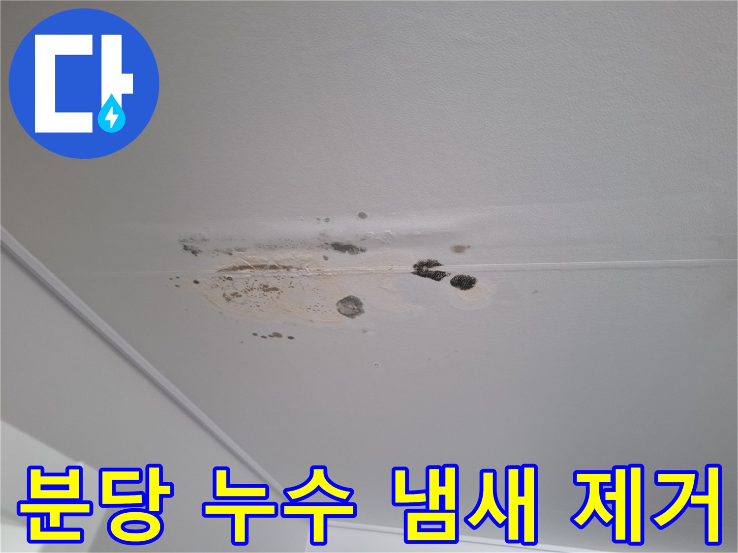 누수 곰팡이 냄새 - 퀴퀴한 냄새까지 싹!