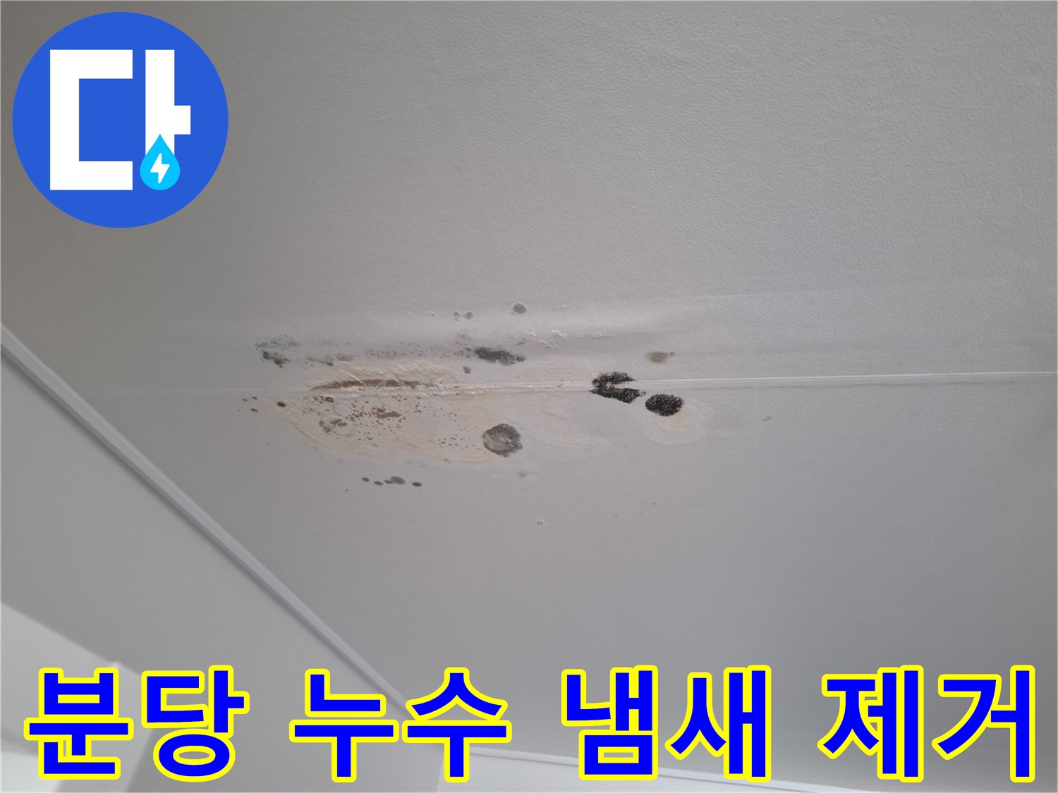 누수 곰팡이 - 냄새까지 싹 잡아드립니다