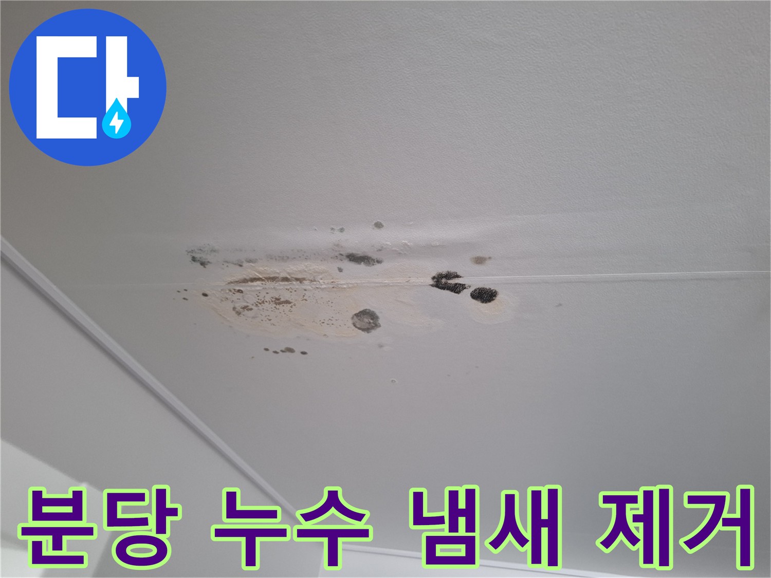 누수 곰팡이 - 냄새까지 싹 잡아드립니다