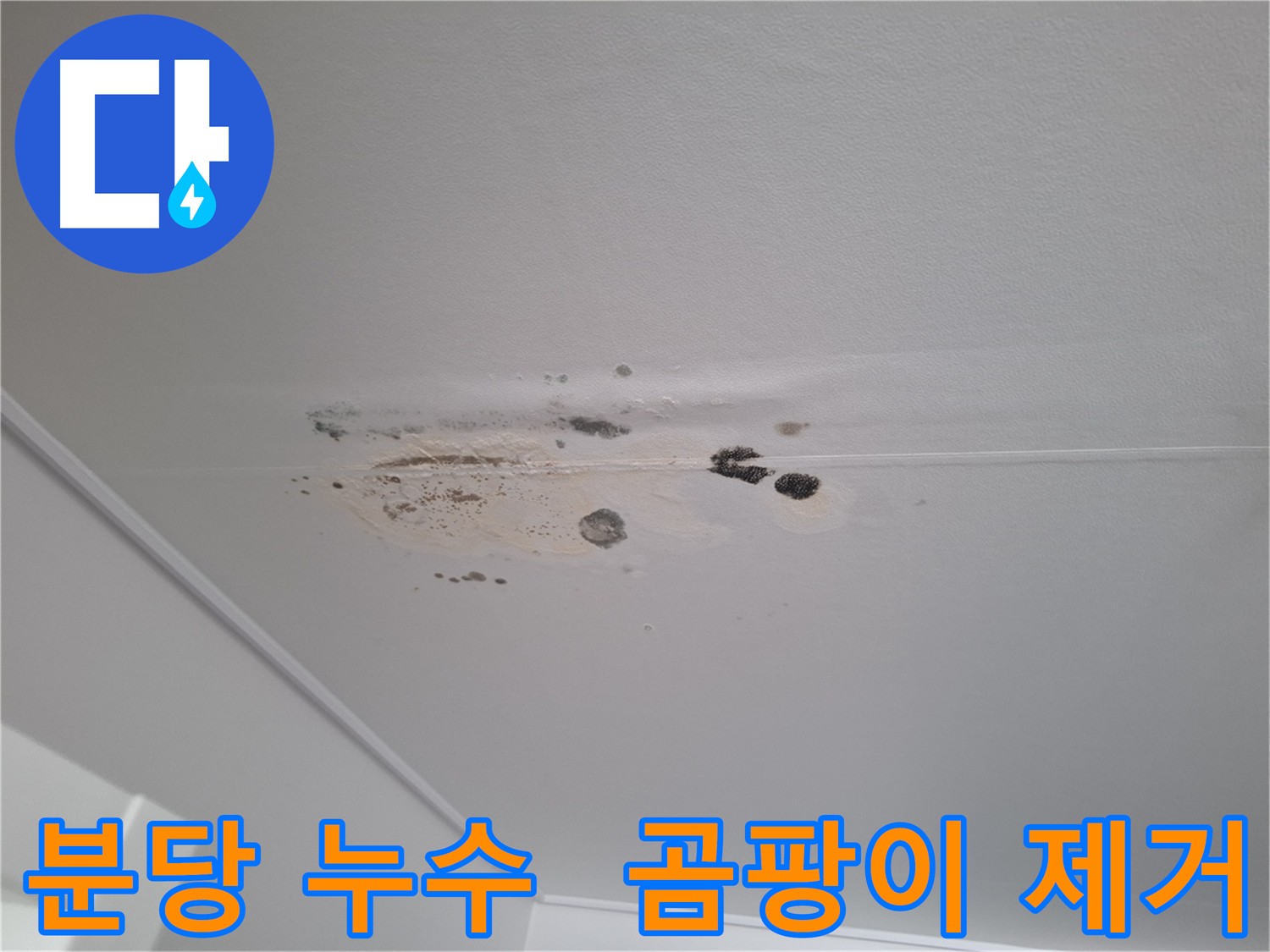 천장 누수 긴급 보수 및 곰팡이 제거 - 쾌적한 환경 조성 및 불편 최소화