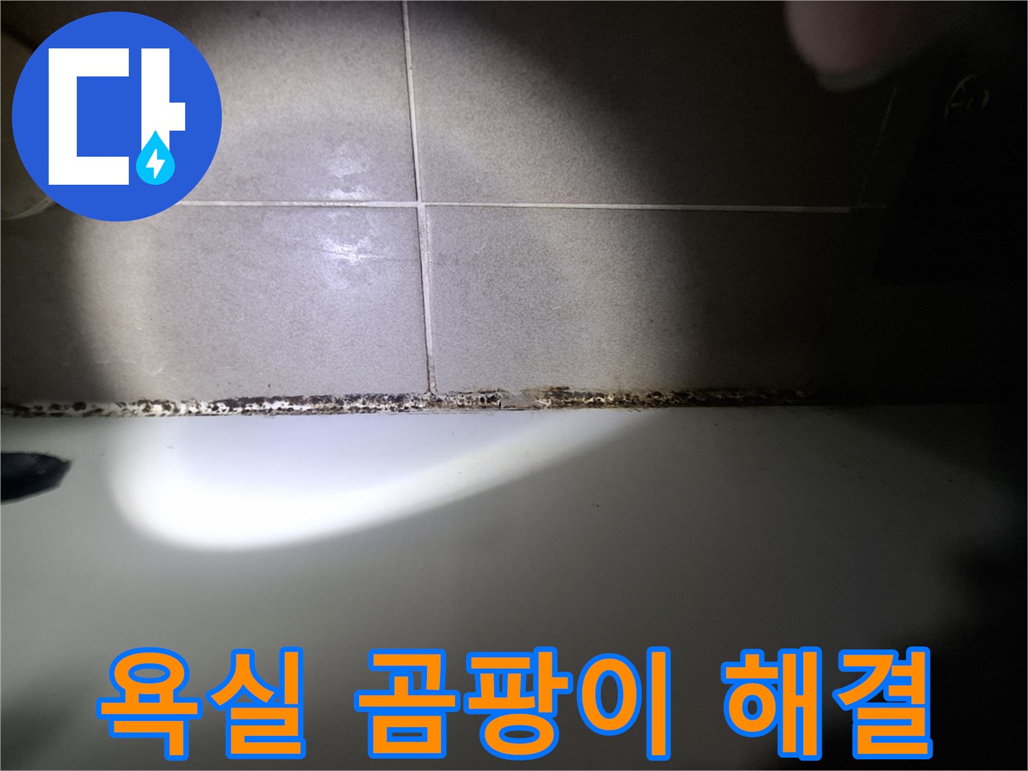욕실 곰팡이 문제 - 전문가의 손길 필요