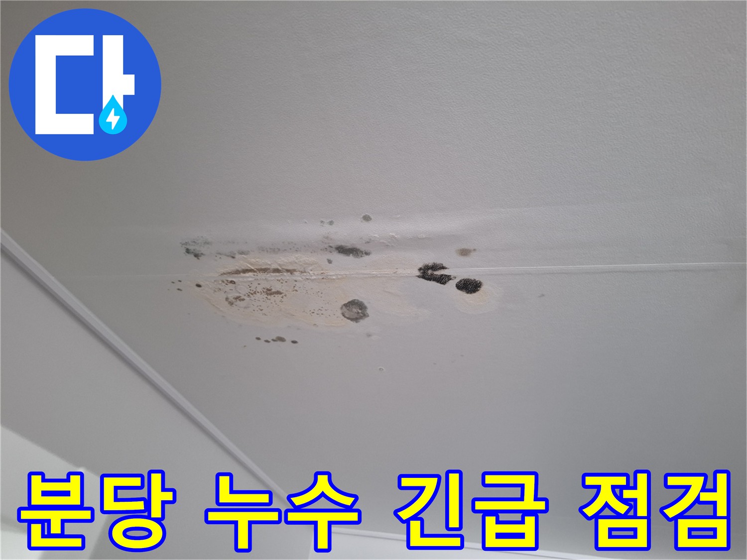 아파트 천장 누수 - 긴급 점검으로 빠른 원인 파악