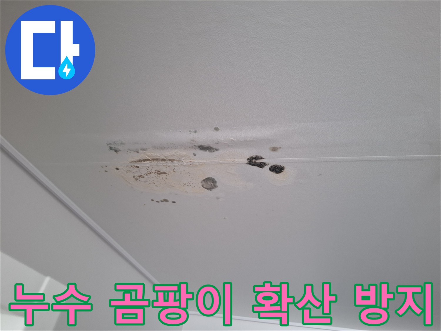 천장 누수 곰팡이 확산 - 긴급 조치를 통한 확산 방지 및 제거