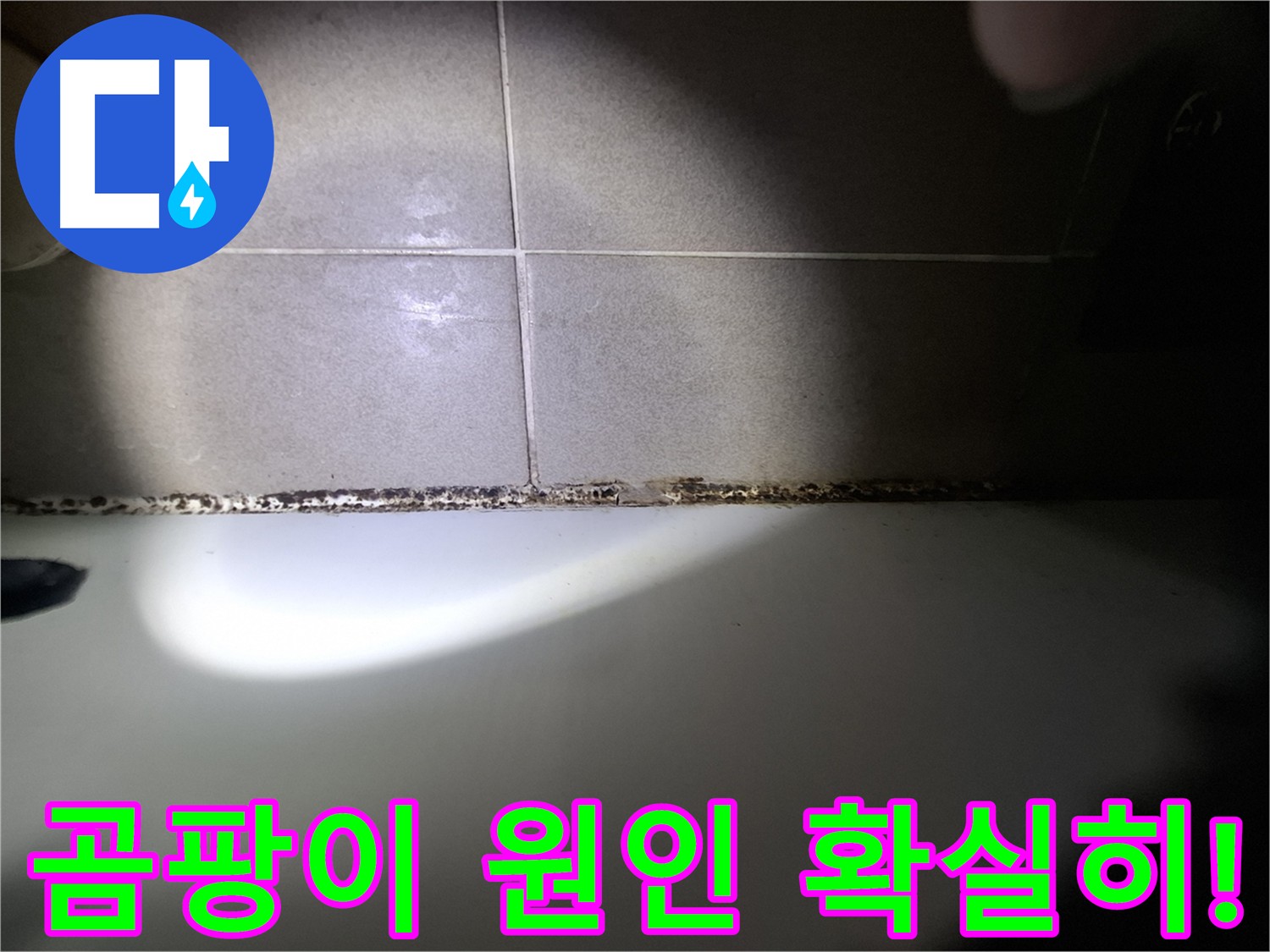 욕조 곰팡이 - 원인부터 확실하게 파악하여 재발 방지