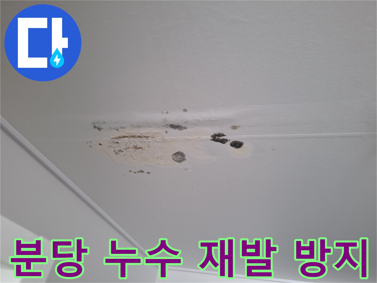 누수 공사 후 곰팡이 재발 방지 - 친환경 시공으로 쾌적한 환경 유지