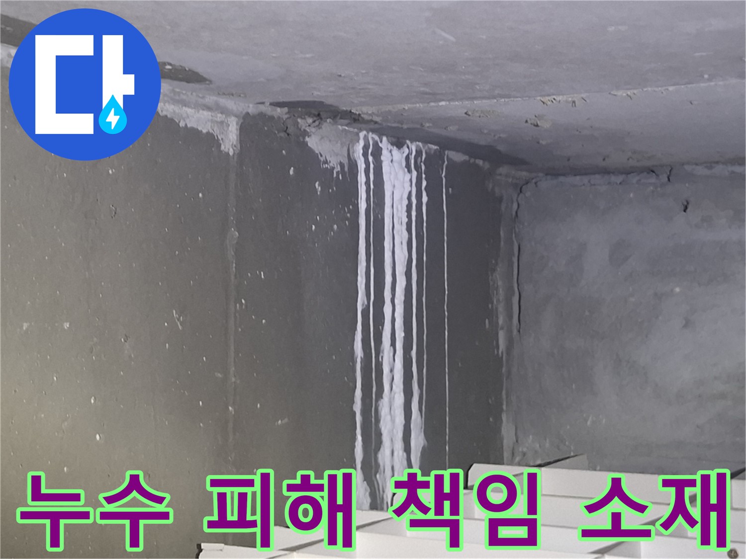 봇들마을 누수 - 책임 소재는 누구에게?