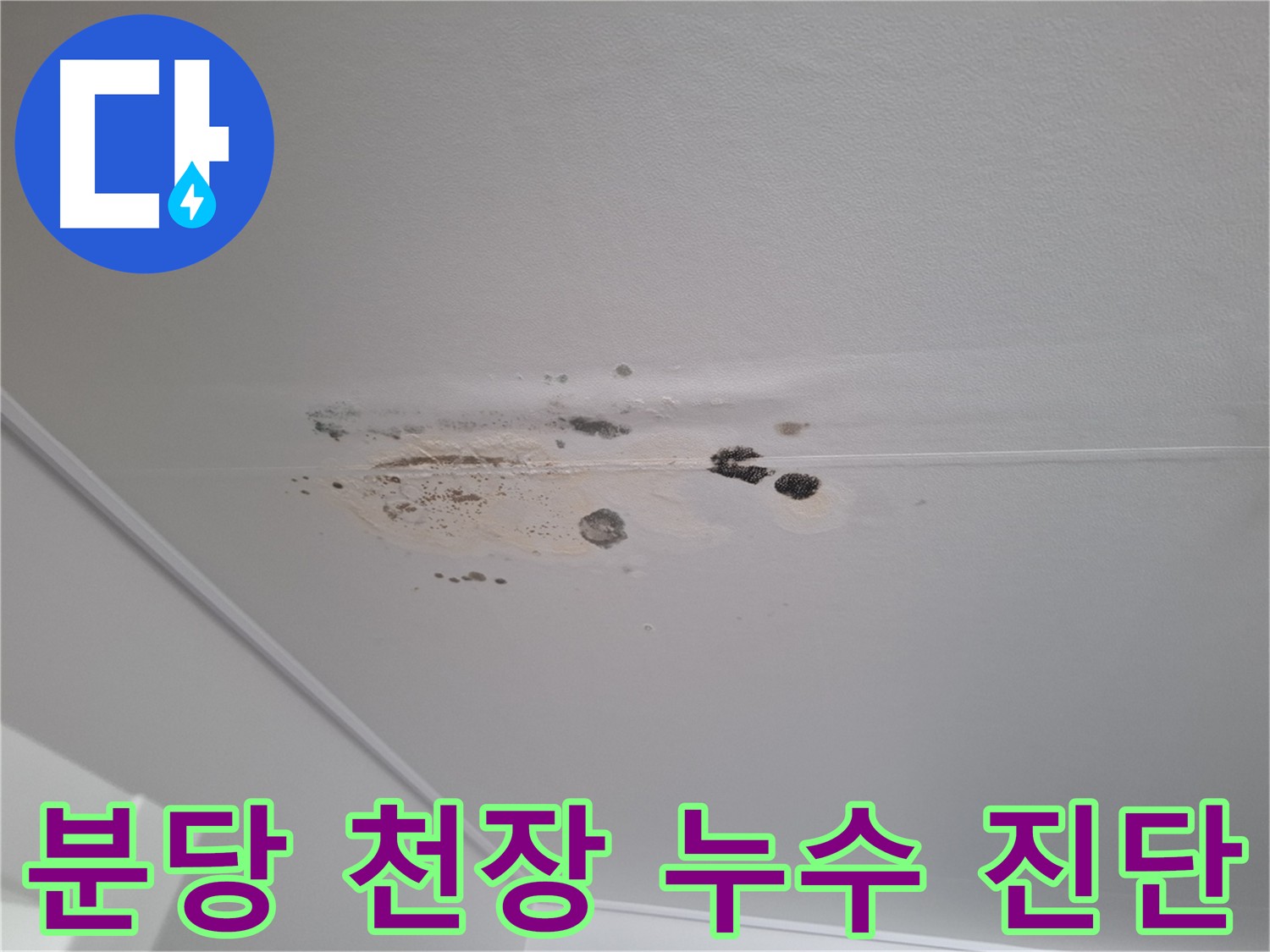 천장 누수 흔적과 곰팡이 - 누수 범위 및 곰팡이 상태 파악을 위한 정밀 진단