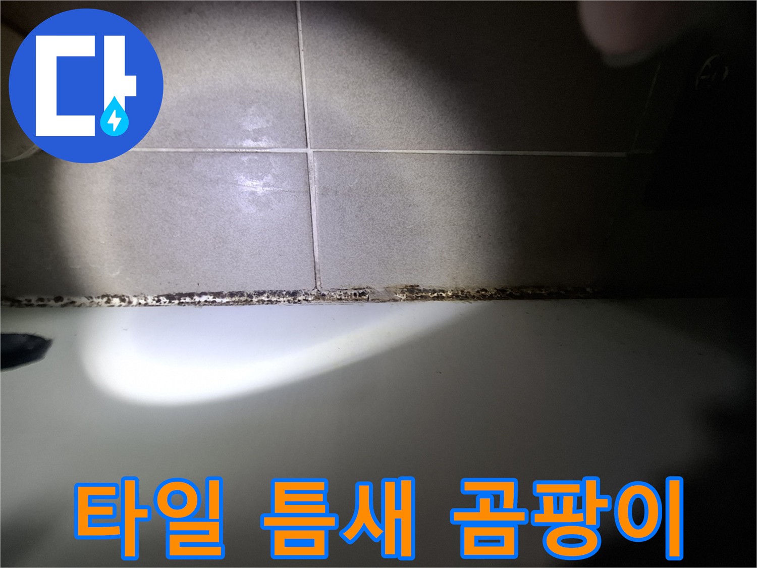 욕실 코너 타일 틈새 곰팡이 - 방수층 손상 또는 배관 문제 의심