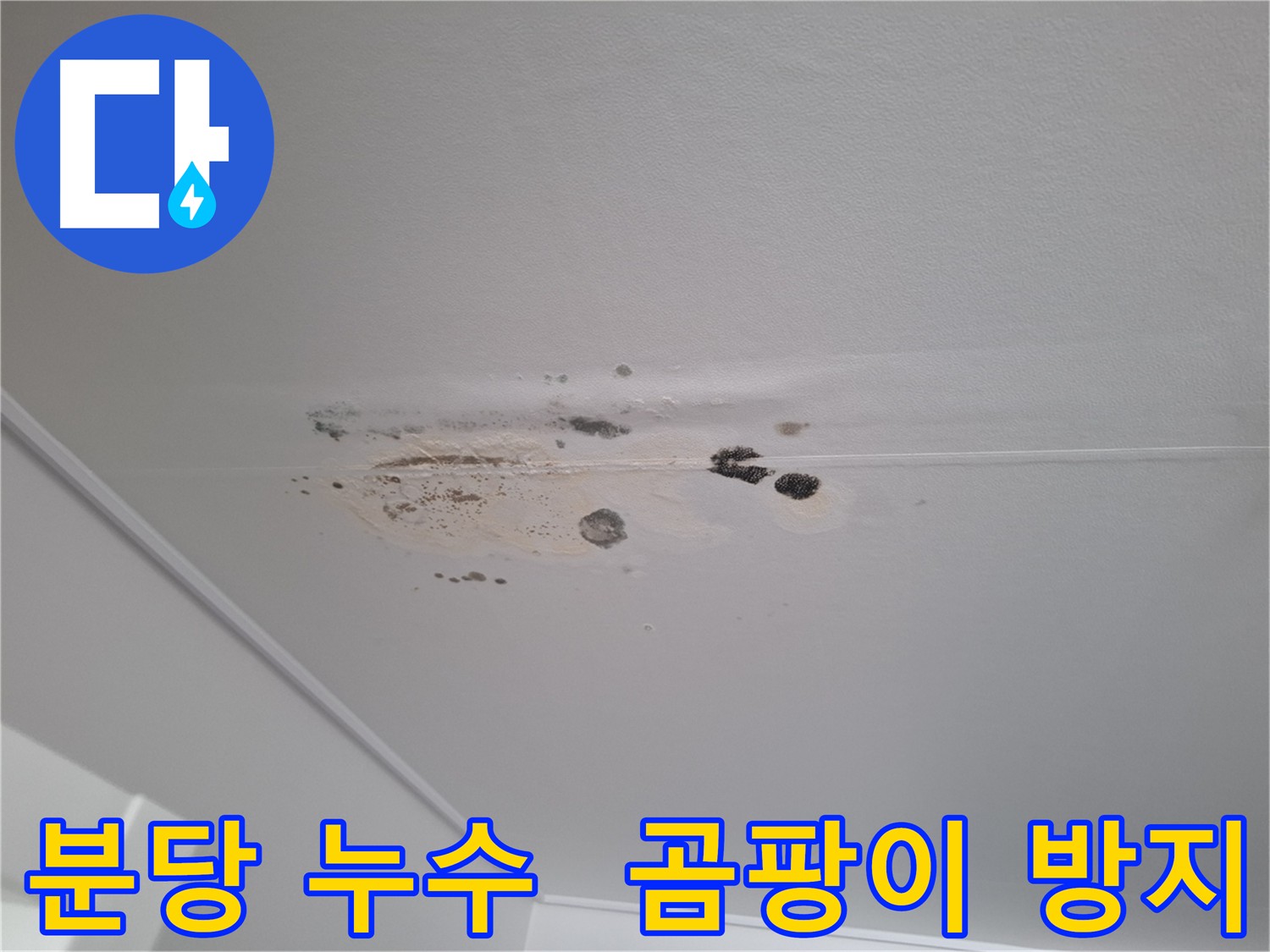 분당 아파트 누수 후 곰팡이 제거 및 친환경 시공 - 쾌적한 실내 환경 조성