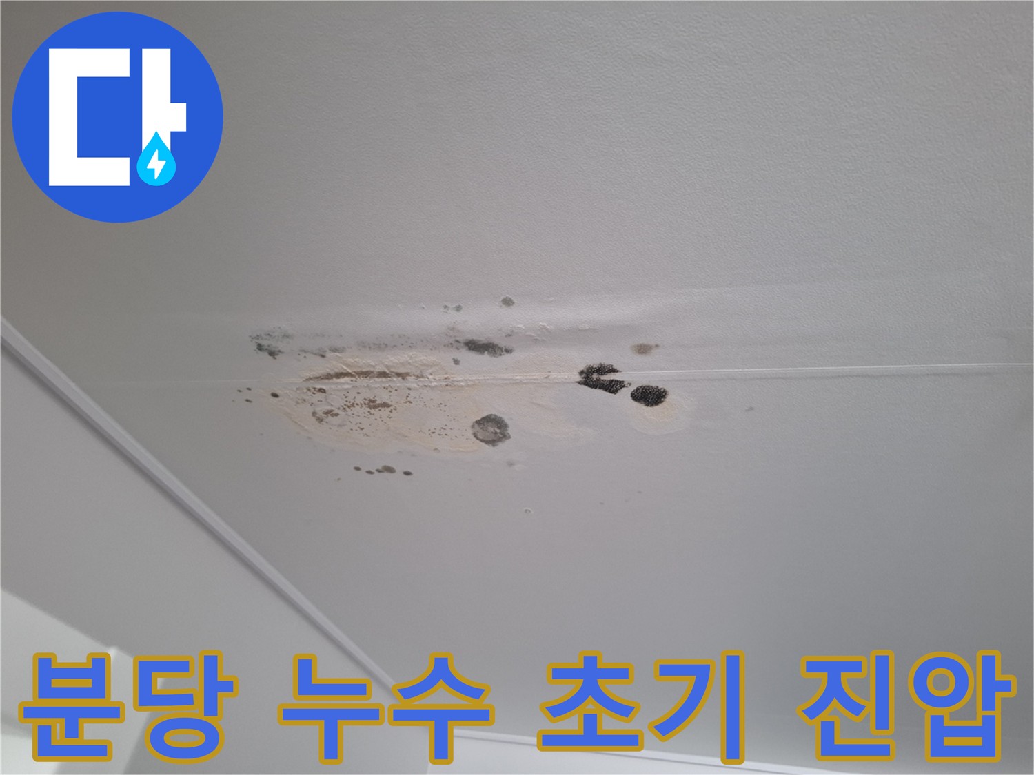 천장 누수 초기 곰팡이 - 신속한 진단 및 조치로 확산 방지