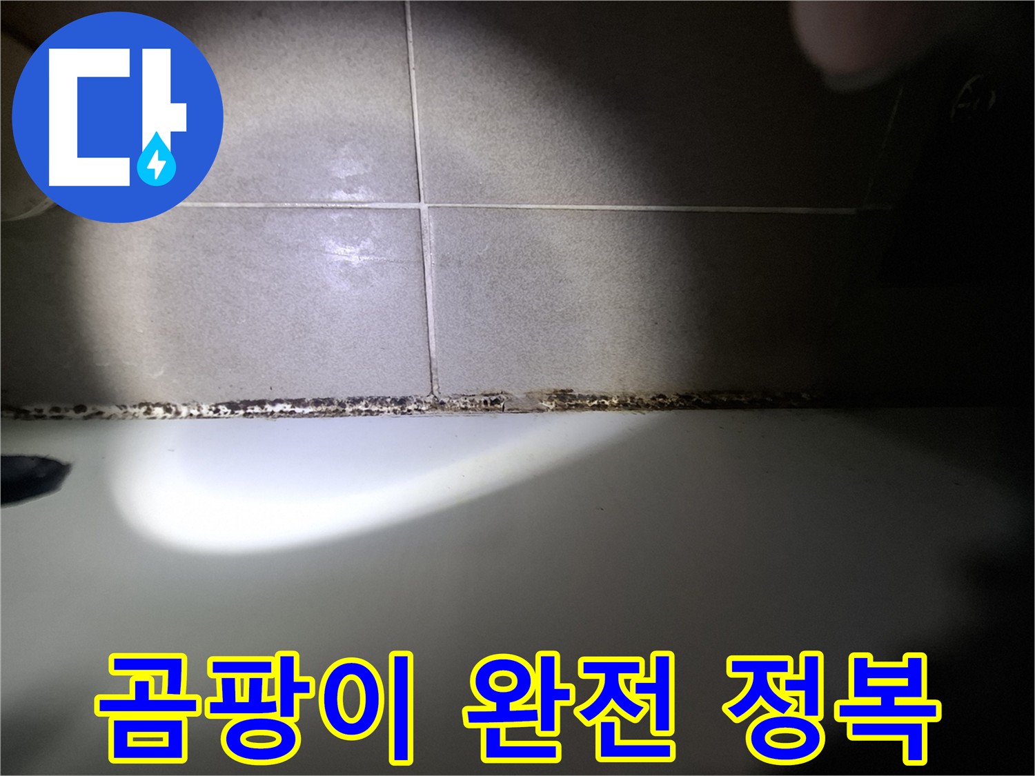 욕조 곰팡이 - 곰팡이 완전 정복을 위한 맞춤 솔루션
