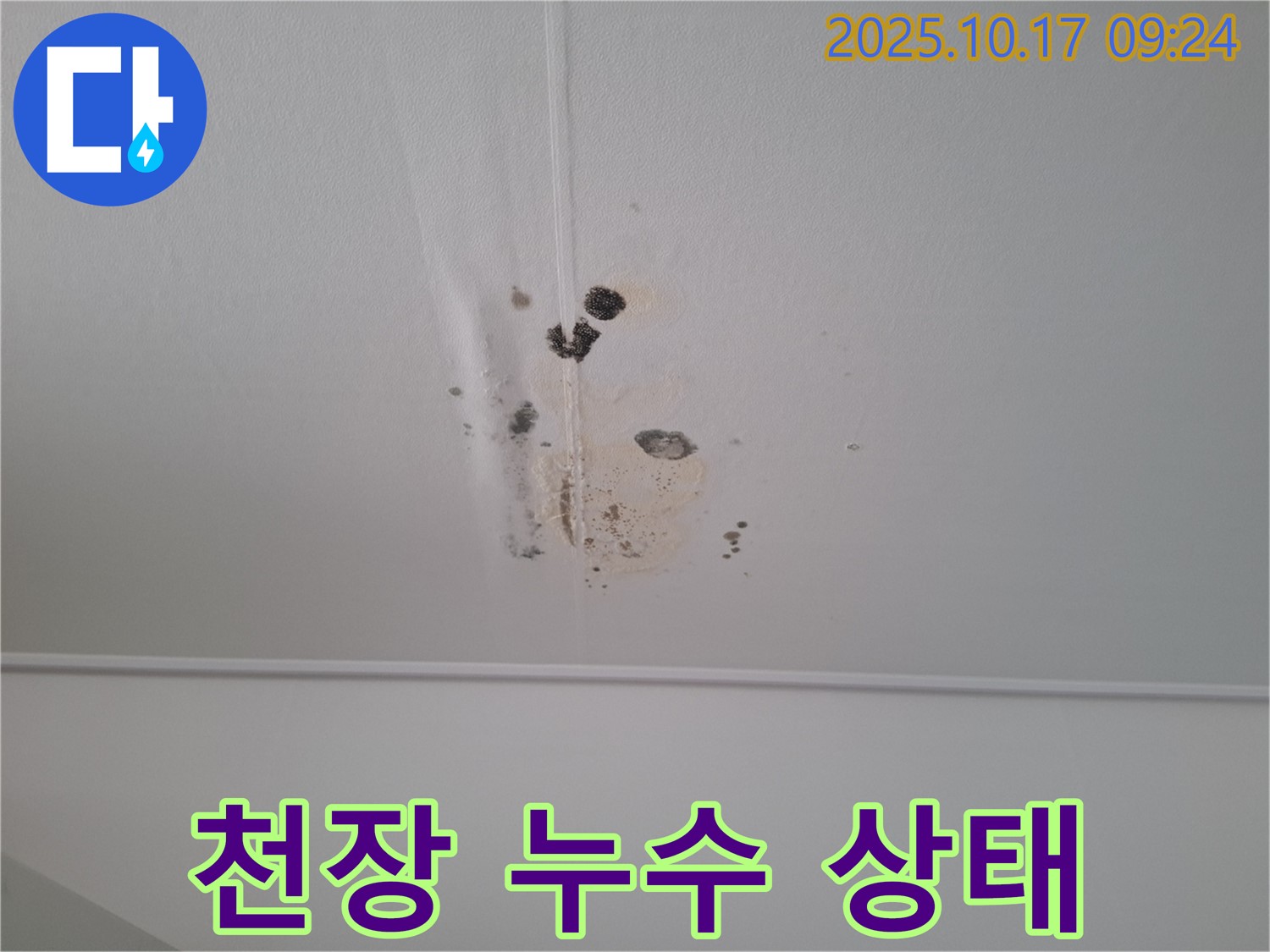 분당 봇들마을 아파트 천장 누수 - 누수 상태