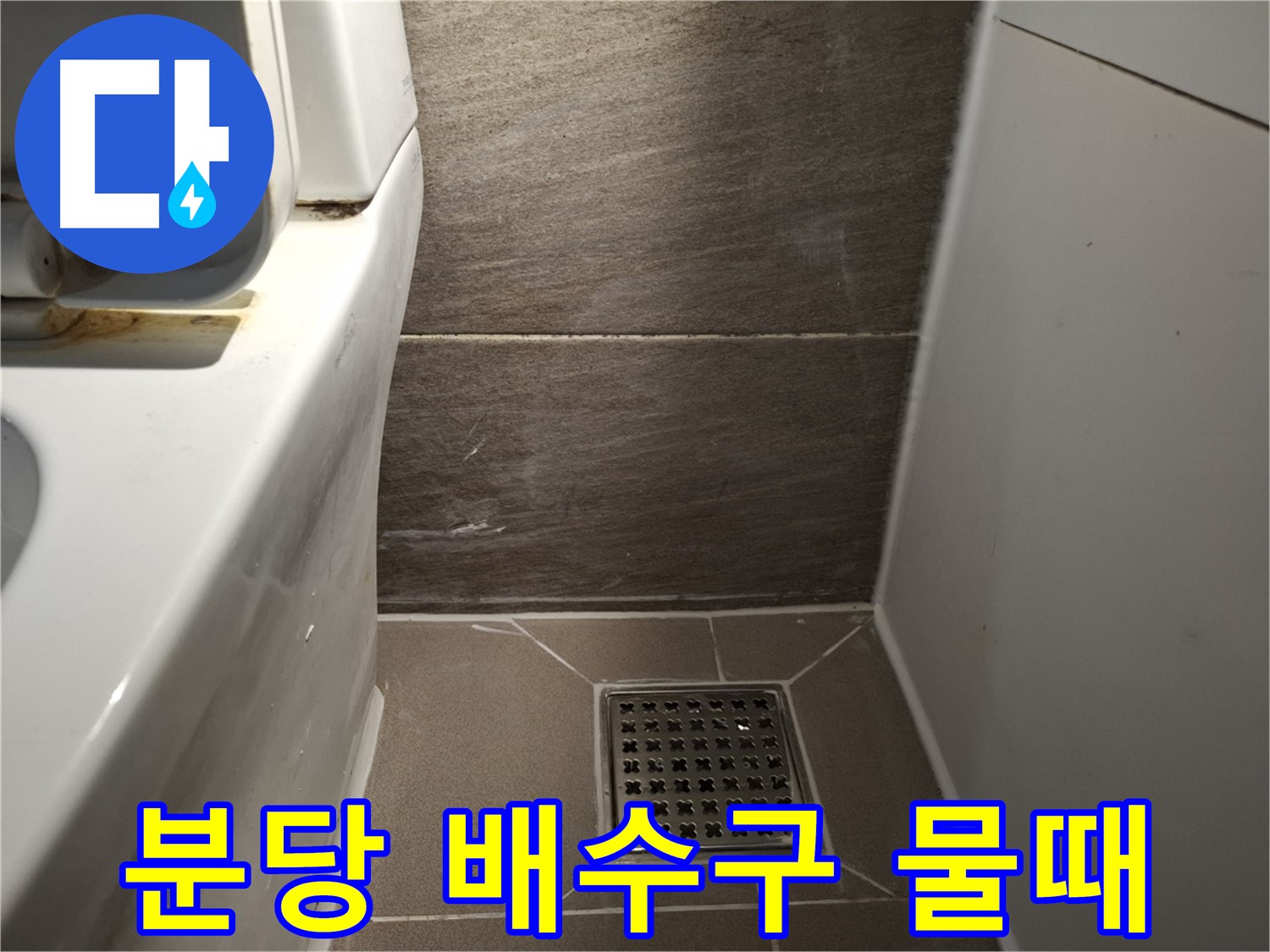 분당 화장실 배수구 주변 타일 물때 - 누수 때문일까?