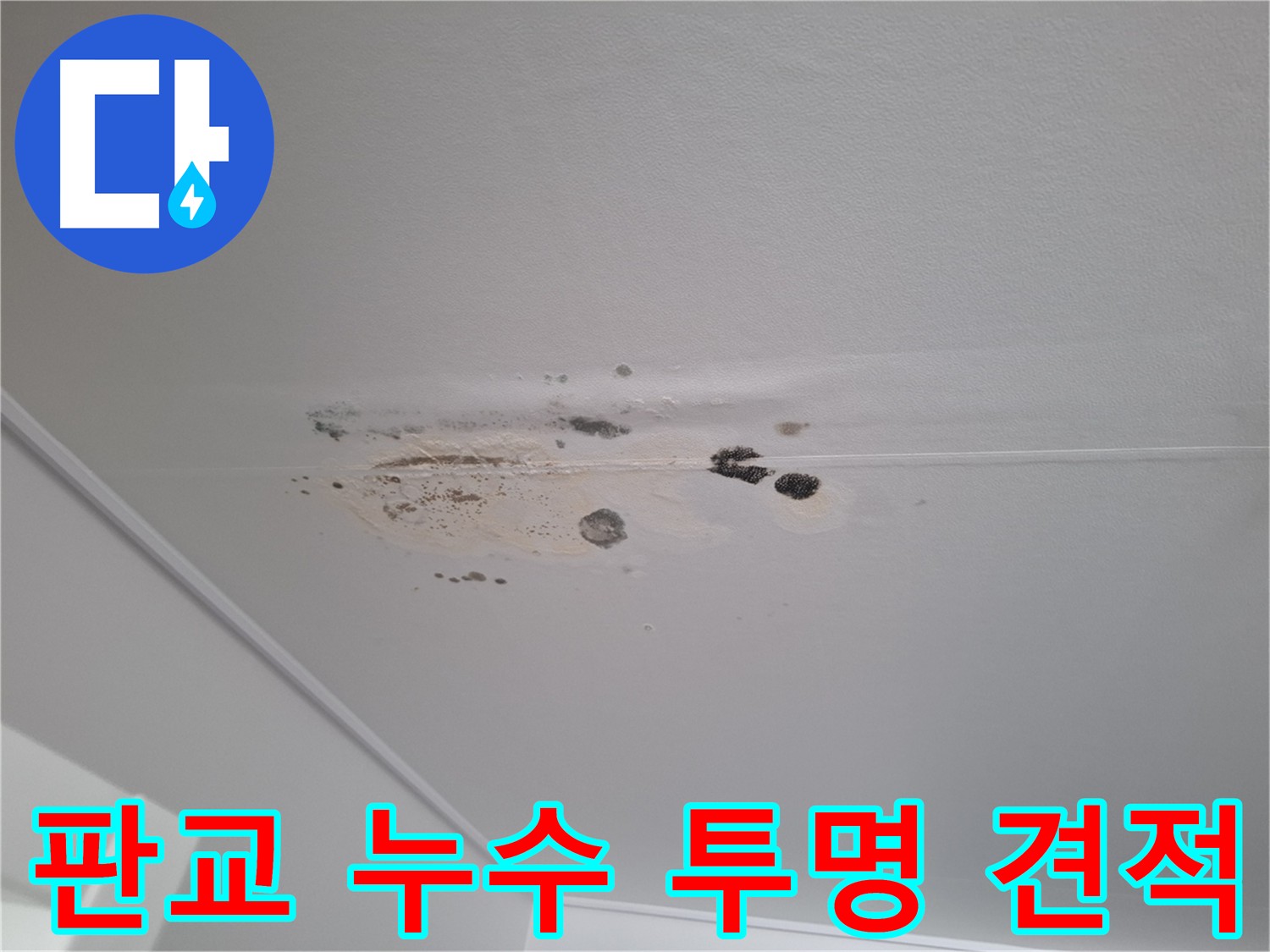 판교 아파트 누수 - 합리적인 가격과 투명한 견적 제공