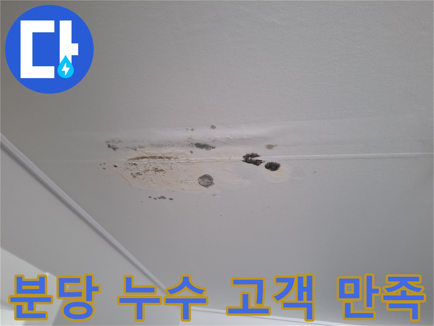 성남/분당 아파트 누수 - 고객 만족을 위한 최선의 서비스 제공