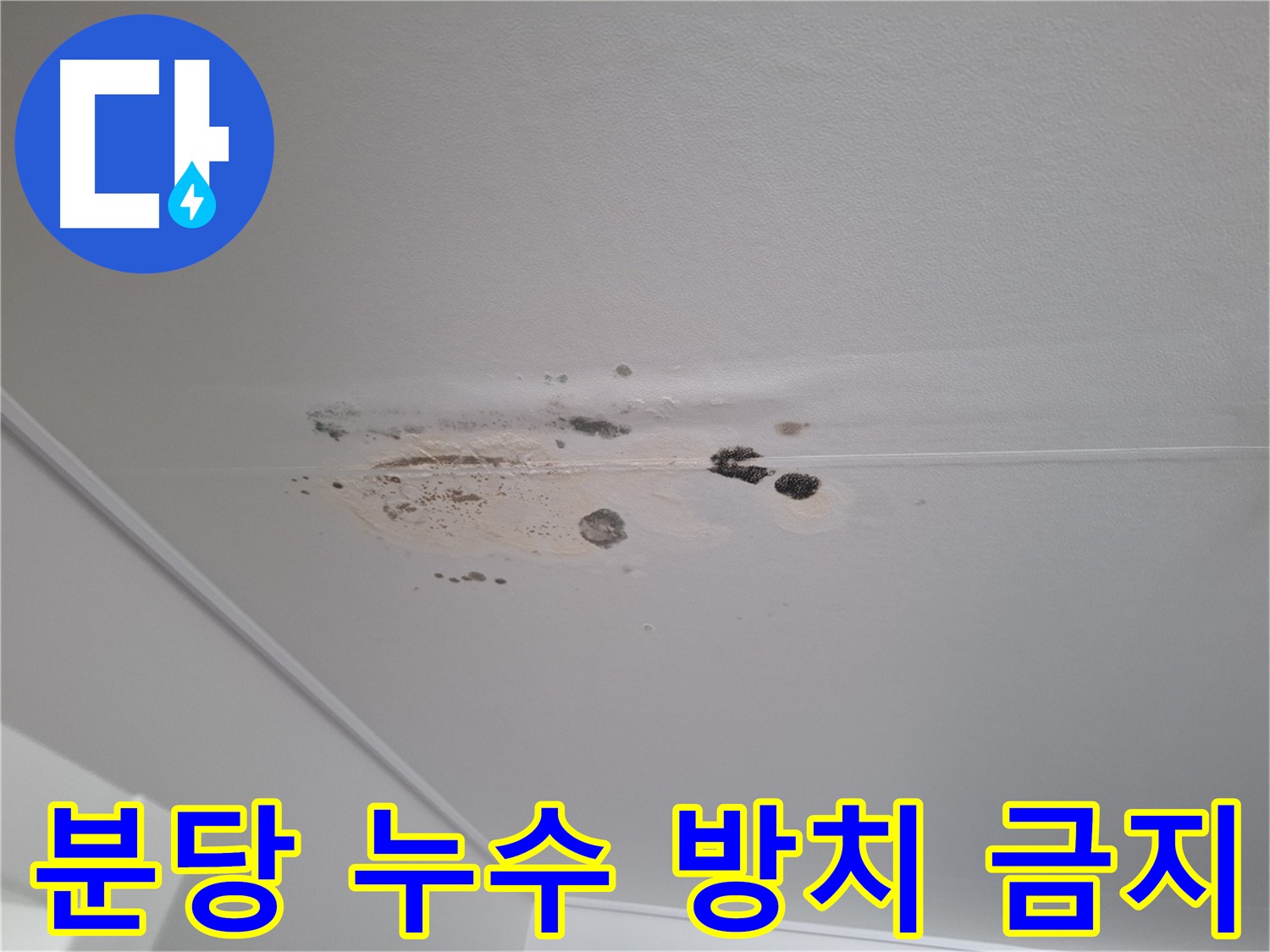 누수 - 더 이상 방치하지 마세요! 빠른 해결이 중요