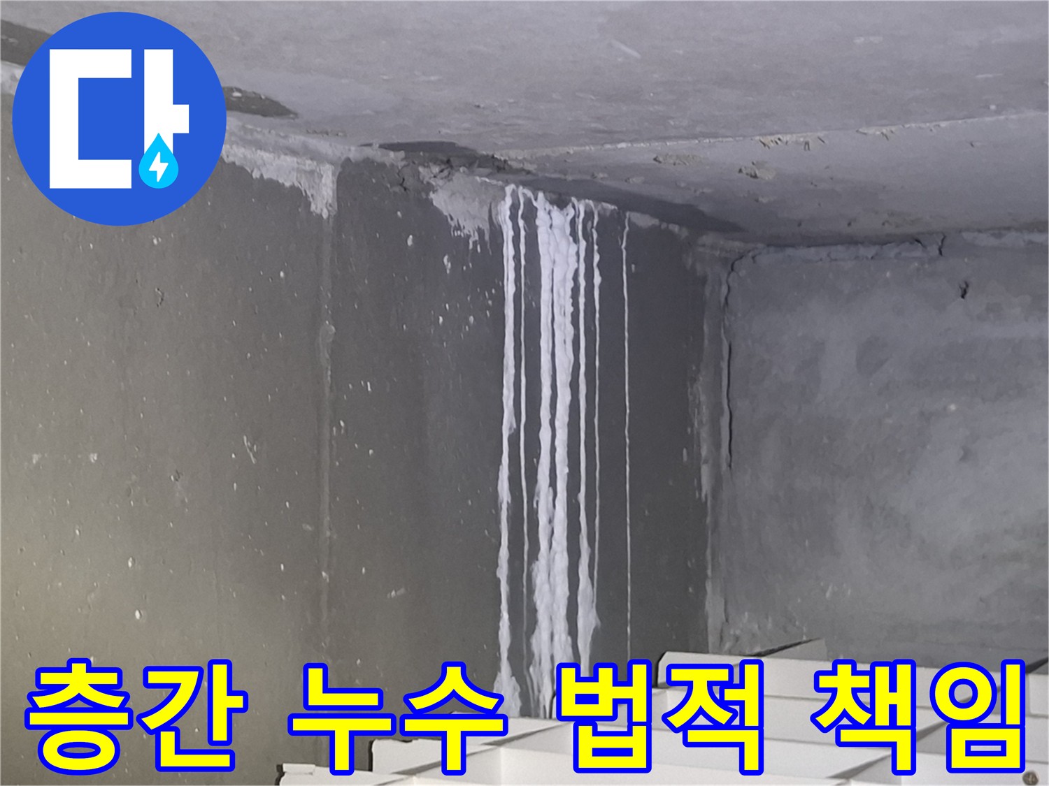 분당구 봇들마을 누수 - 층간 누수 발생 시 법적 책임 관계
