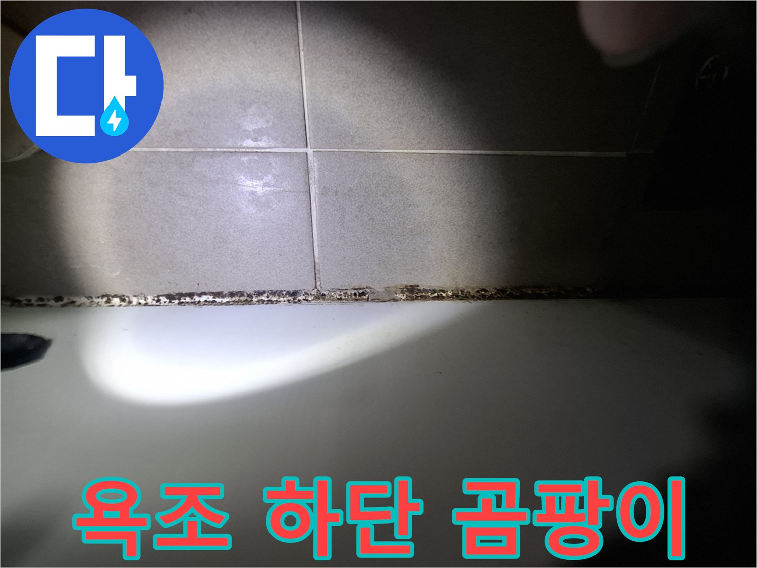 욕조 하단 실리콘 곰팡이 - 심각한 상태, 긴급 점검 필요