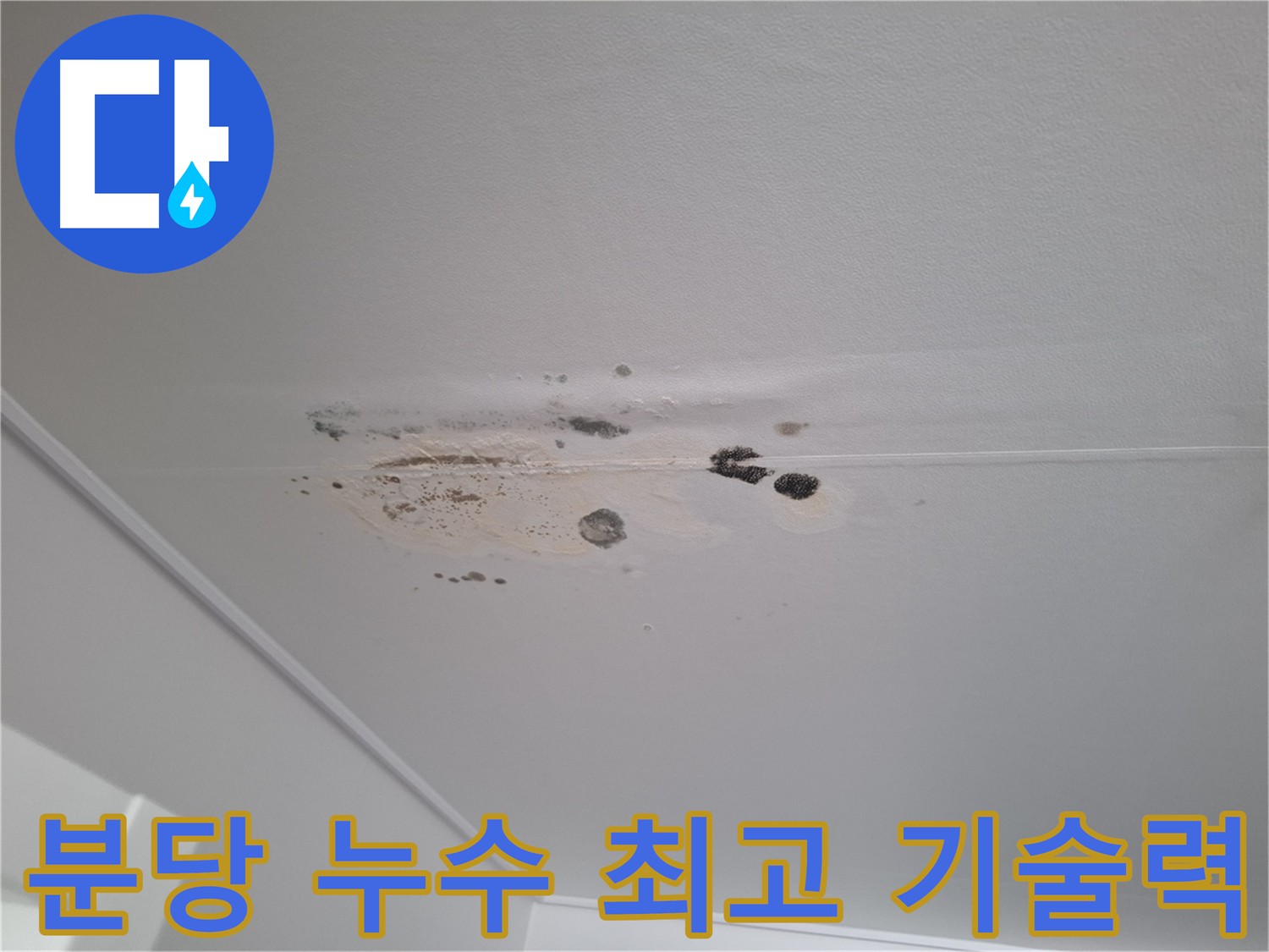 누수 해결 - 최고의 기술력으로 완벽하게 해결합니다