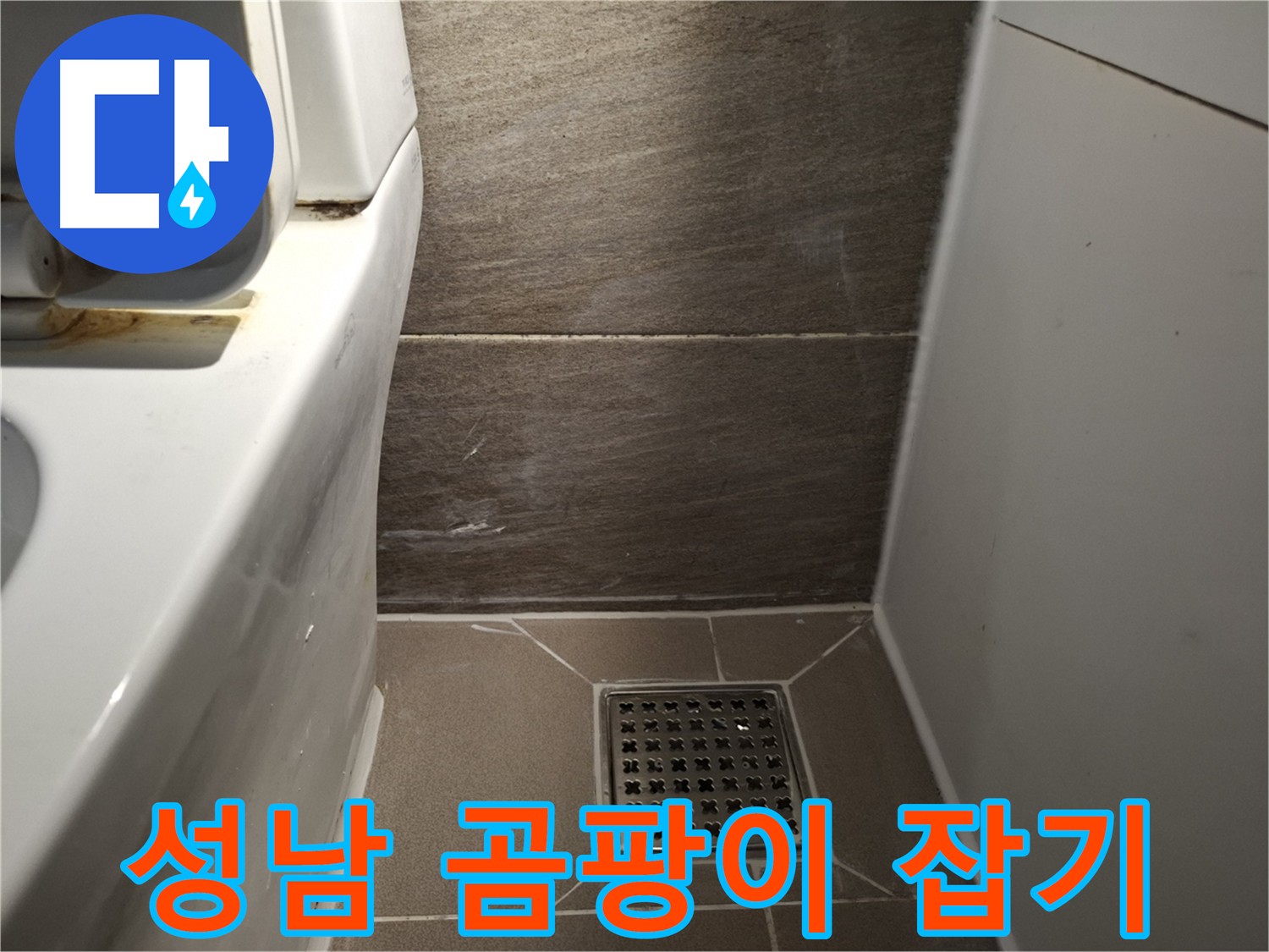 성남 화장실 곰팡이 냄새 - 누수부터 해결해야 근본적인 해결
