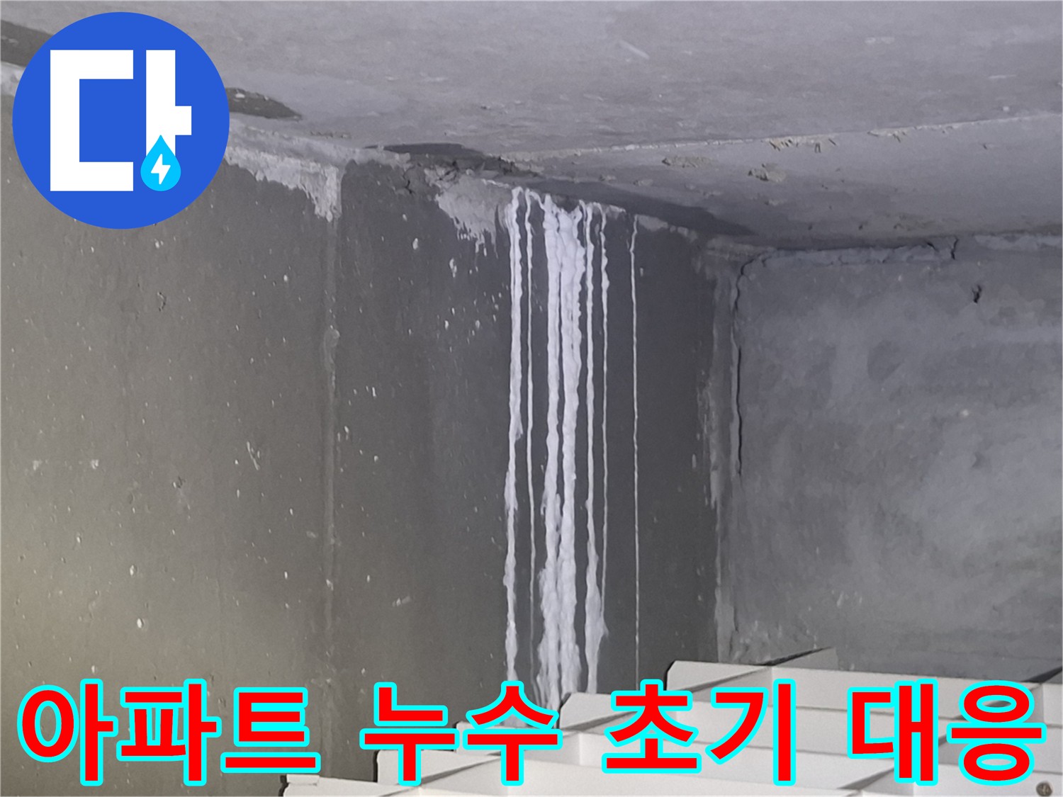 삼평동 아파트 누수 초기 대응 중요