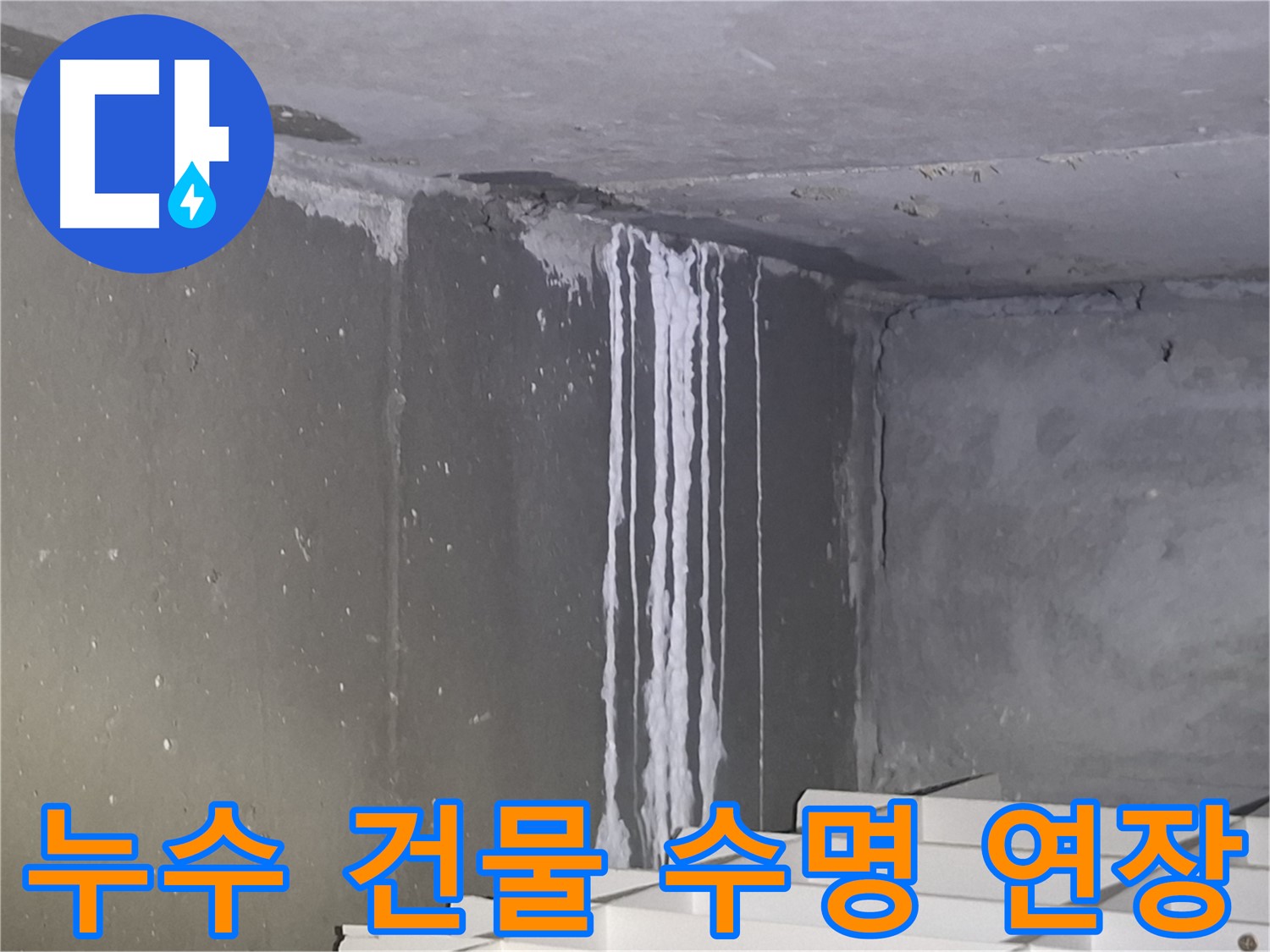 성남 건물 누수 - 건물 수명 연장의 시작