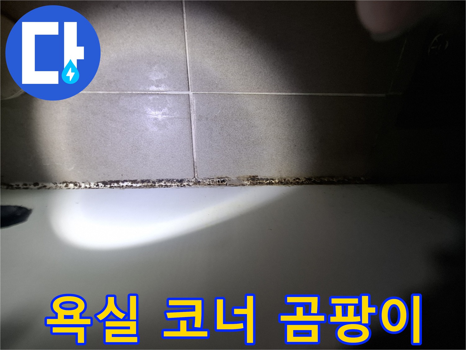 욕실 코너 곰팡이 - 빠른 조치 및 방수 시공 필요