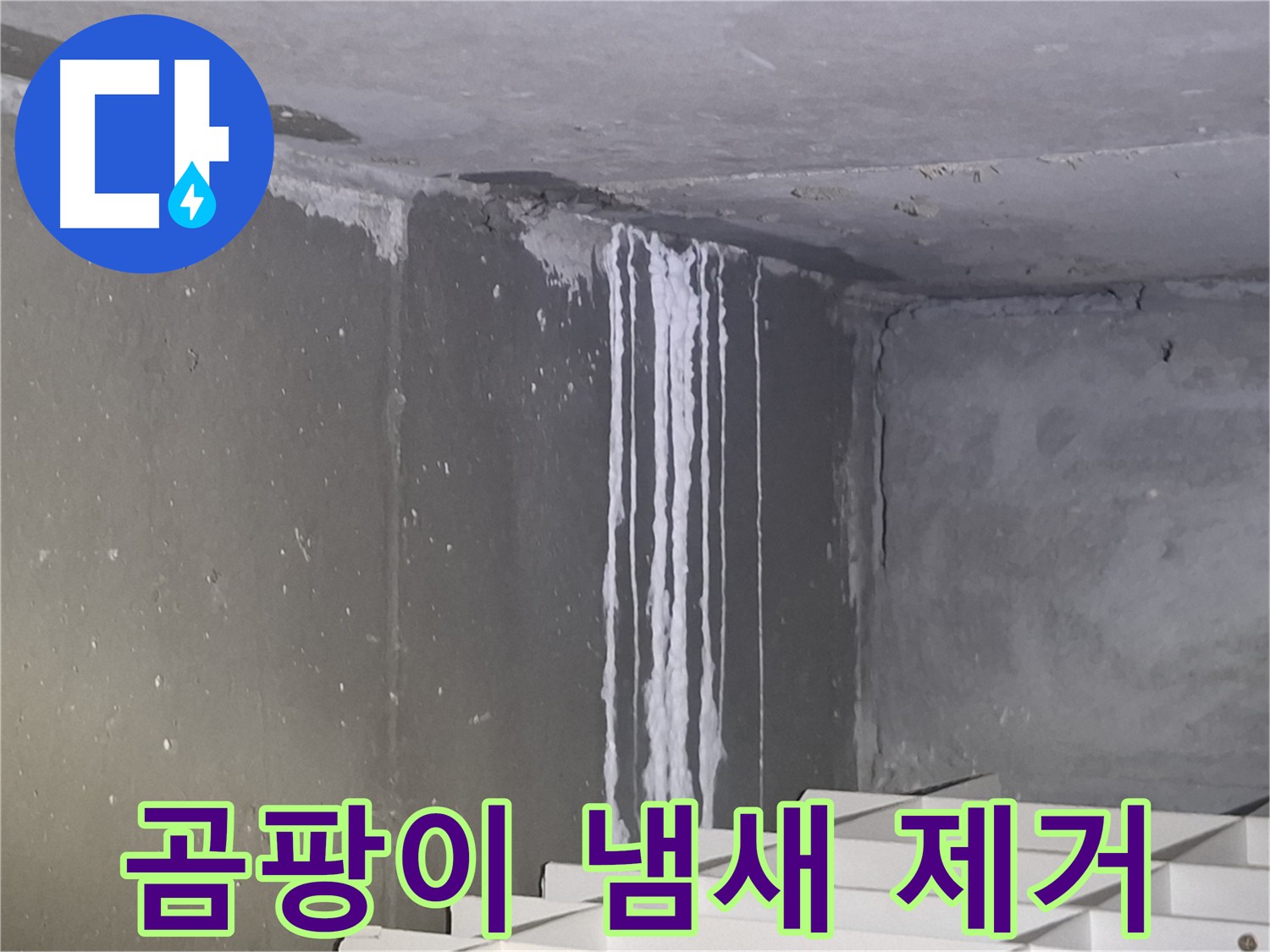 성남 누수 공사 후 - 곰팡이 냄새 제거! 쾌적한 환경으로!