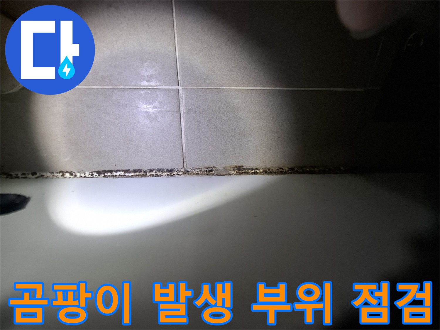 욕실 곰팡이 점검 - 타일 틈새 및 방수층 손상 여부 확인