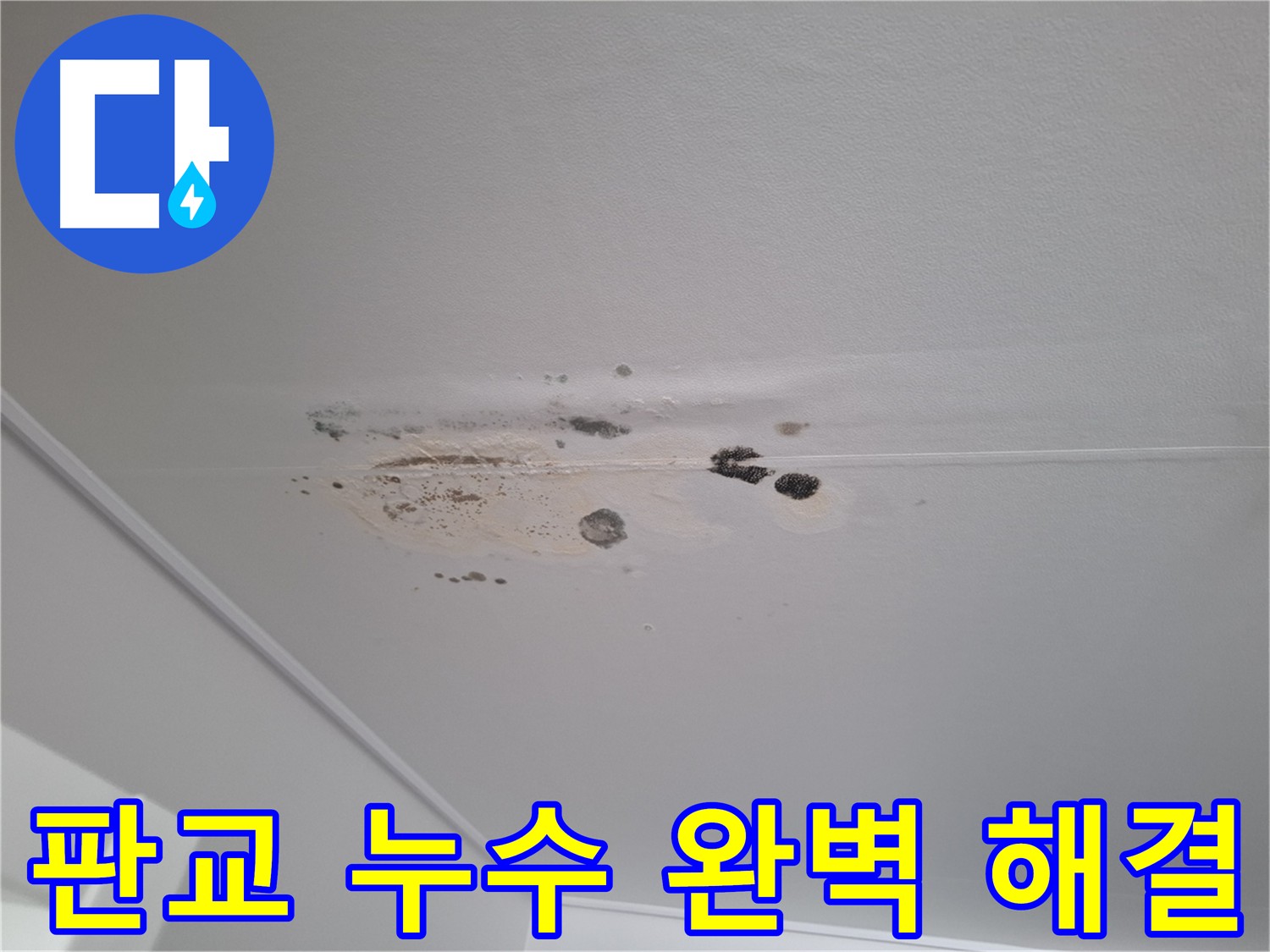 판교 봇들마을 아파트 천장 누수 - 완벽한 누수 해결 약속