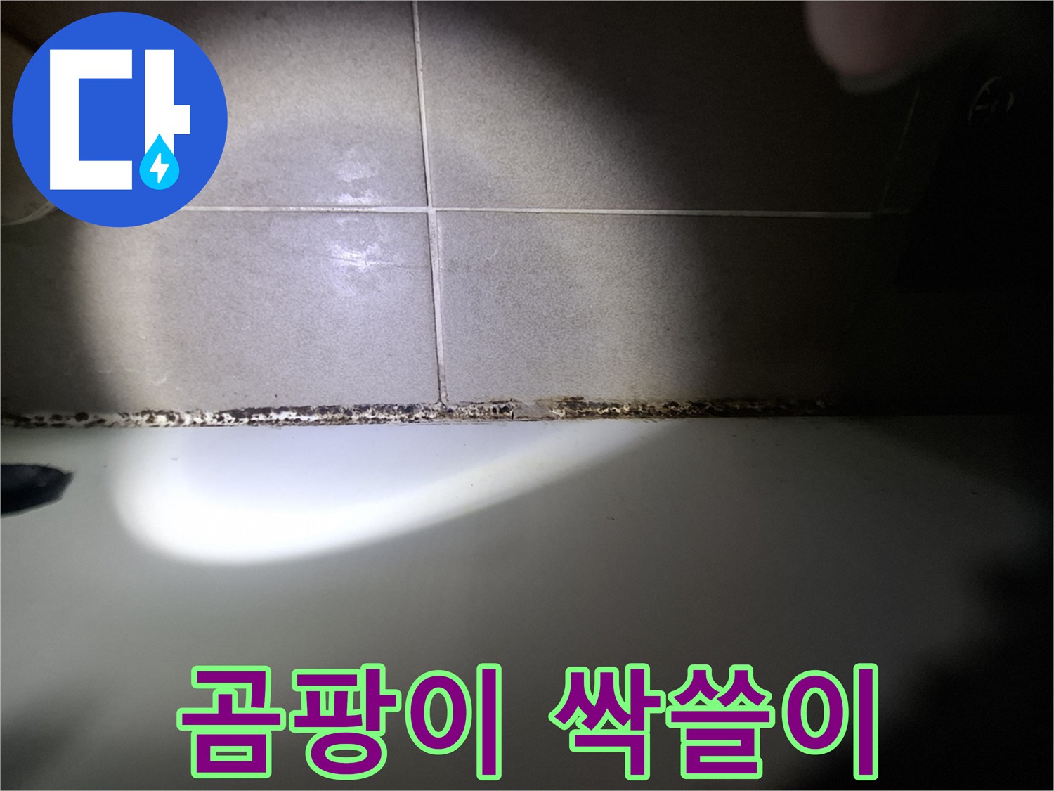 욕조 곰팡이 제거 - 곰팡이 싹쓸이 대작전 개시!