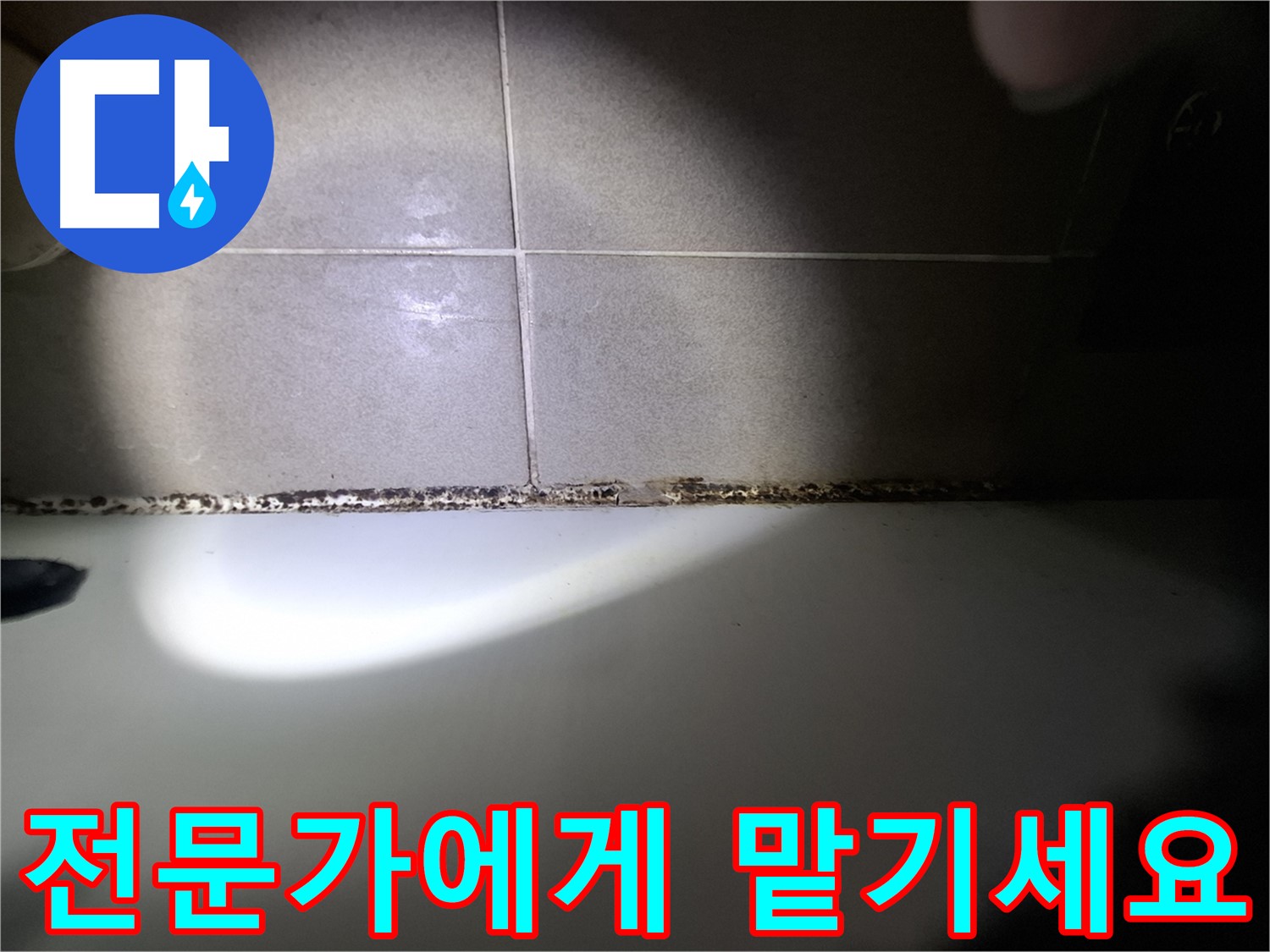 욕조 곰팡이 - 곰팡이 고민 해결, 전문가의 손길로!