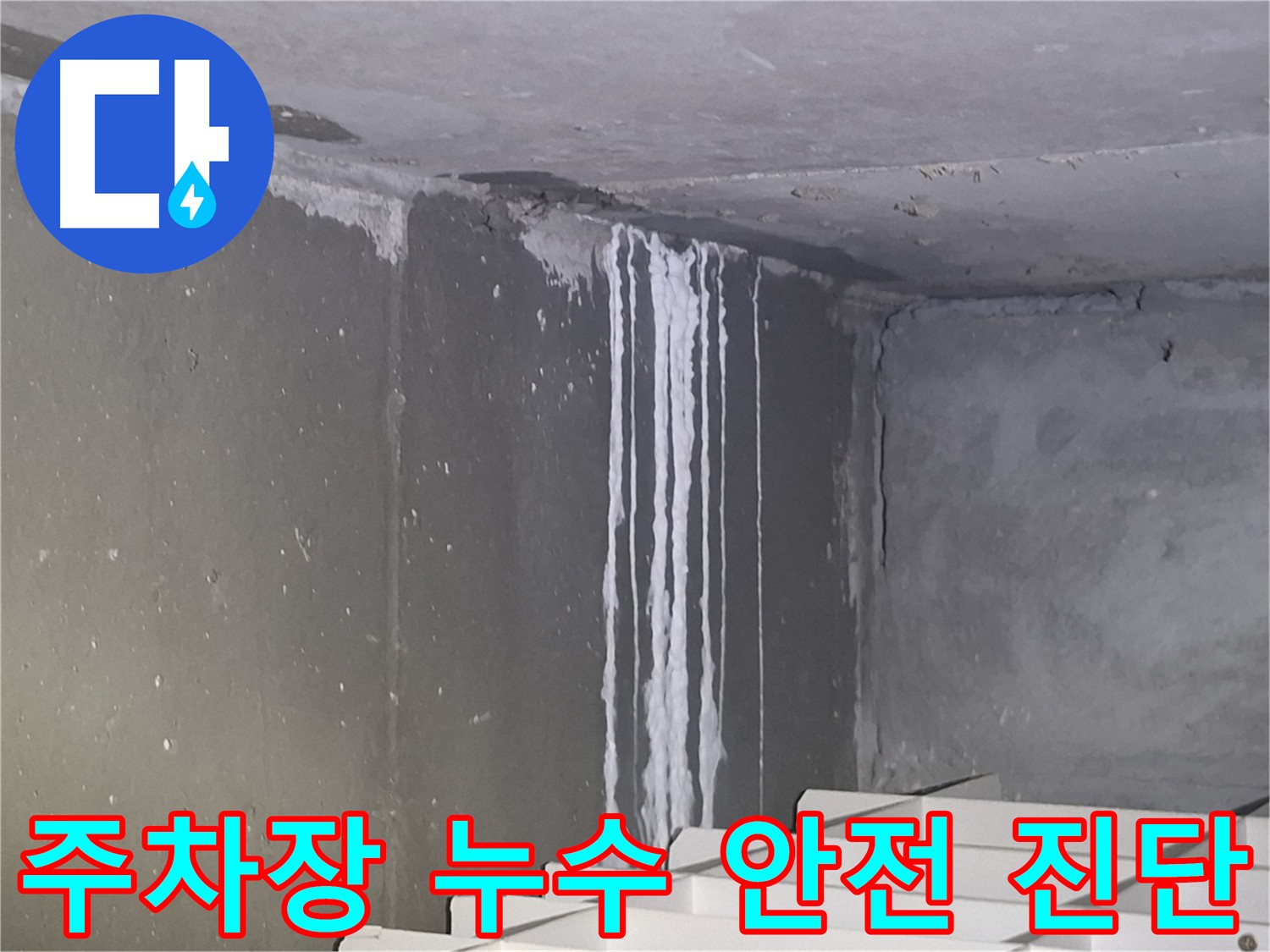 분당구 봇들마을 주차장 누수 - 안전 진단 필요