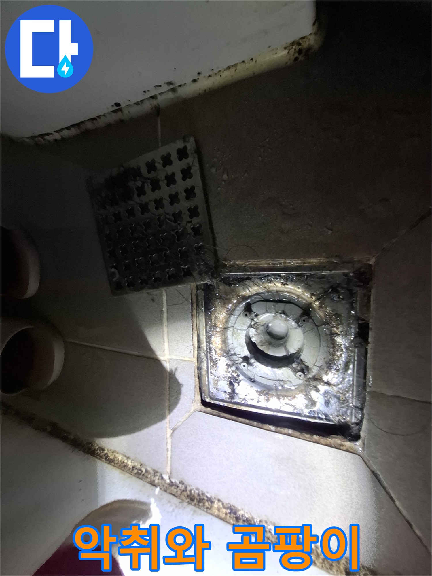 배수구 주변 악취와 곰팡이 - 누수 가능성 높음