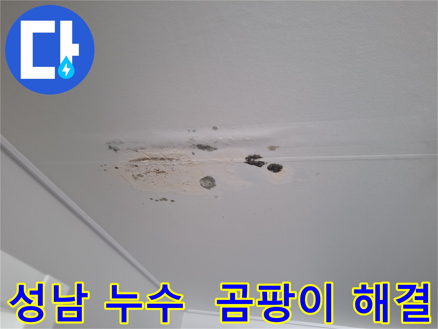 성남 아파트 천장 누수로 인한 곰팡이 발생 - 원인 분석 및 해결 과정