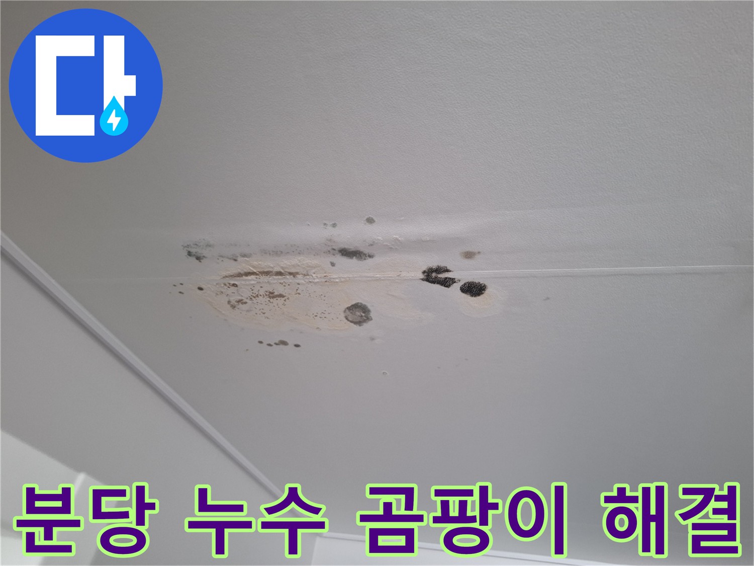 곰팡이 핀 천장 - 누수 해결이 우선, 곰팡이 제거는 그 다음