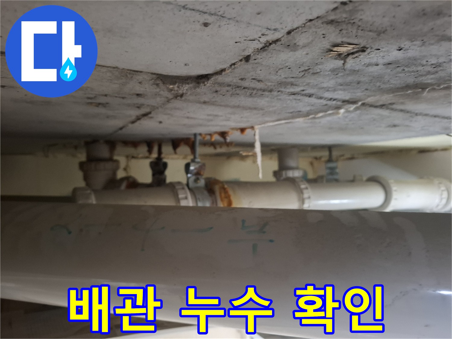 성남 분당구 봇들마을 아파트 - 점검구 내부 배관 누수 확인