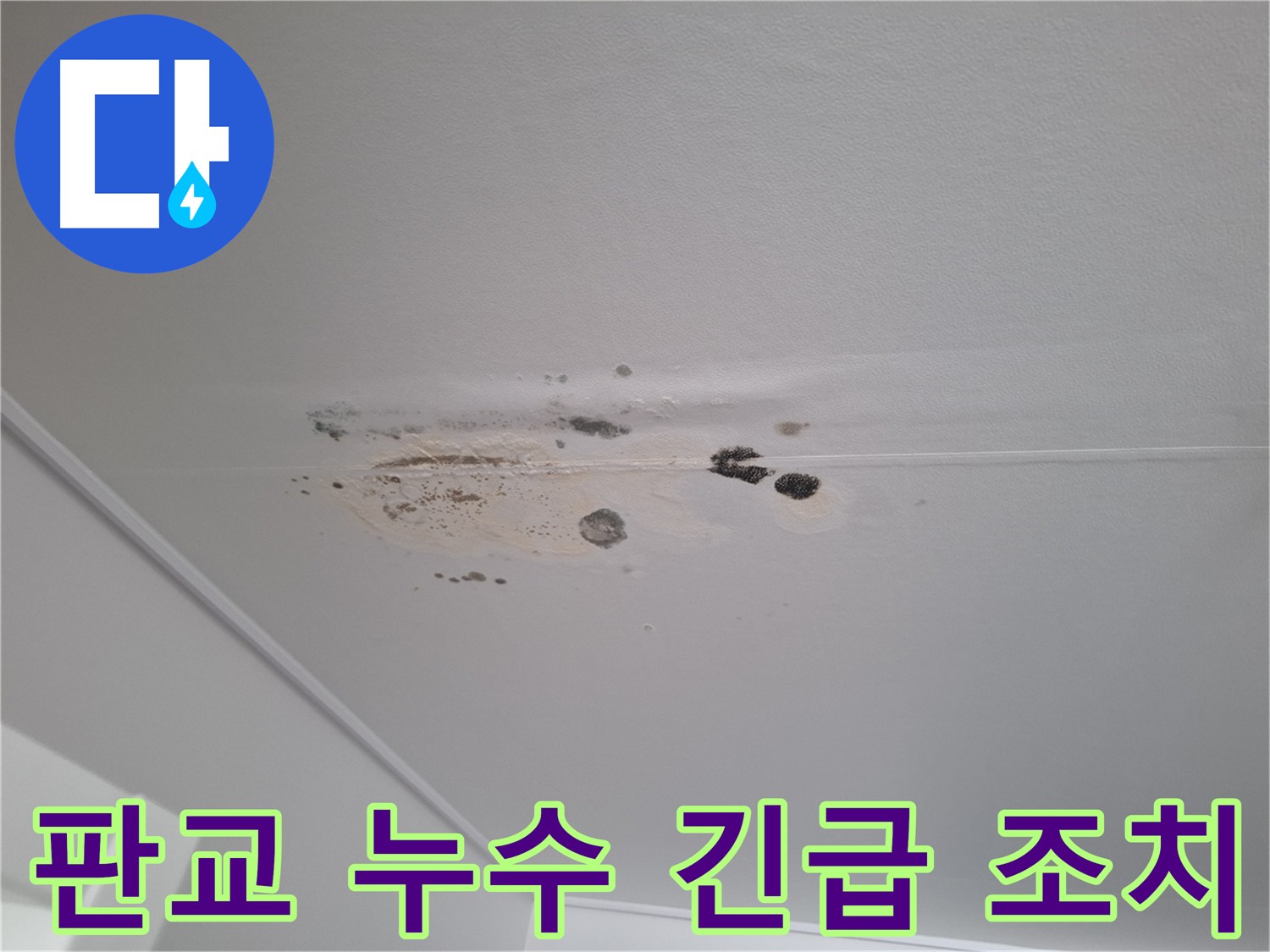 판교 아파트 누수 발생 - 긴급 누수 탐지 및 신속한 피해 복구
