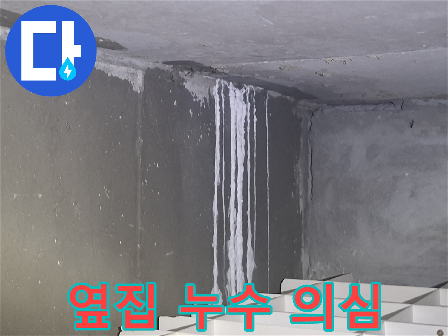 봇들마을 누수 - 옆집 누수 의심될 때 대처 방법