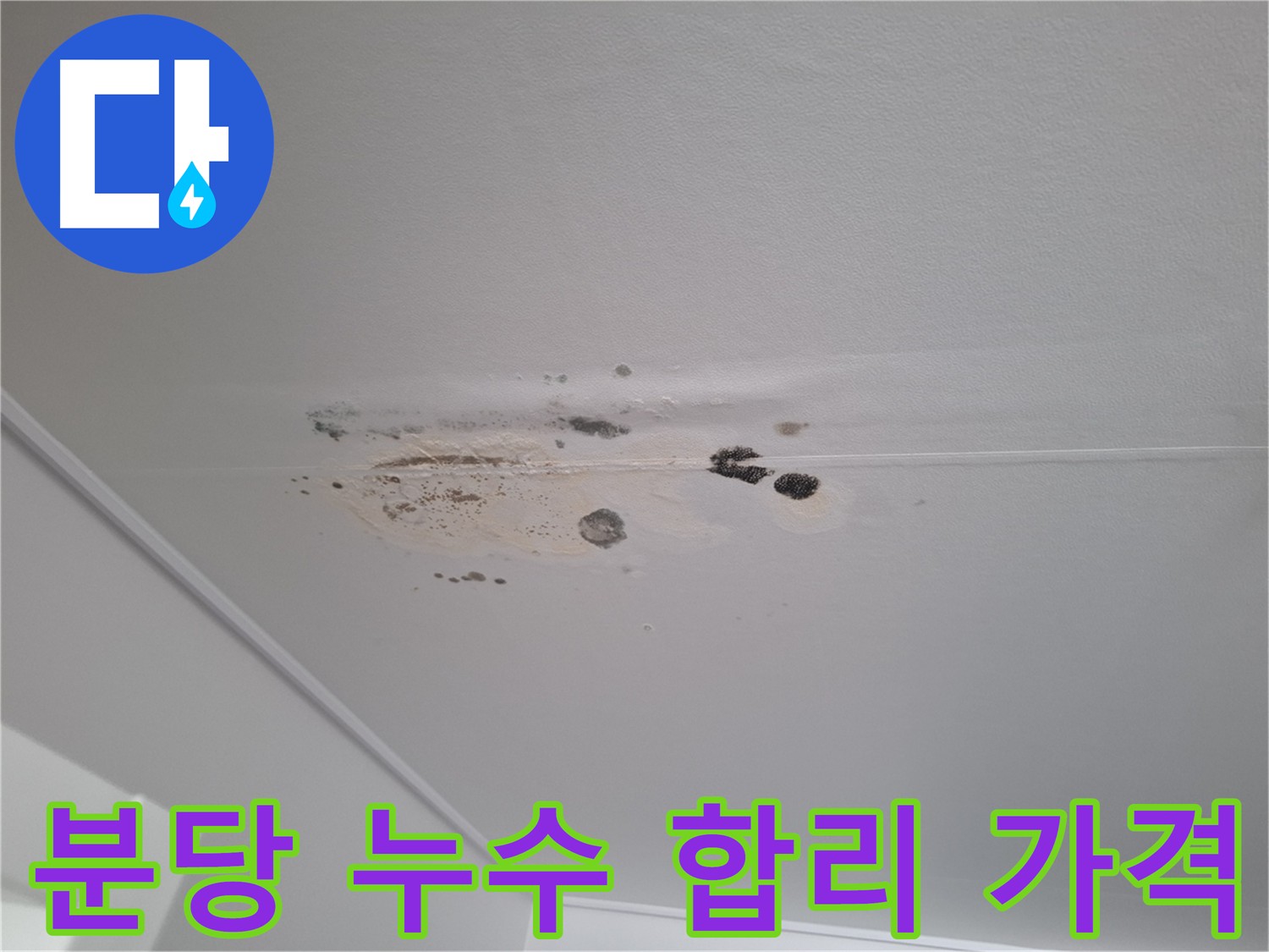누수 해결 - 합리적인 가격, 투명한 견적으로 부담없이
