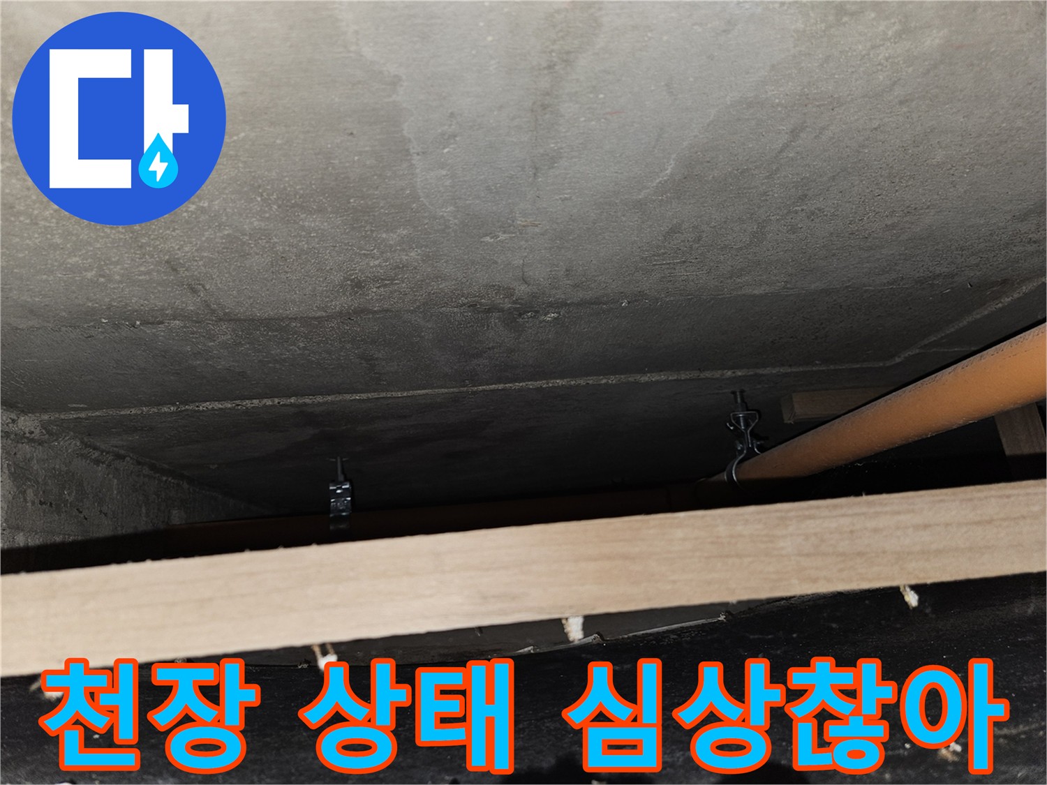 천장 얼룩 - 누수 흔적 의심, 윗집 또는 건물 문제 가능성