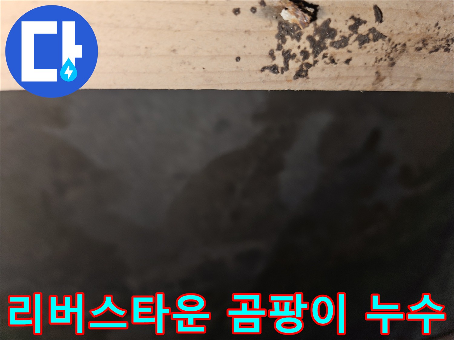 천호동 리버스타운 누수 - 곰팡이 초기 발견 - 빠른 해결 중요