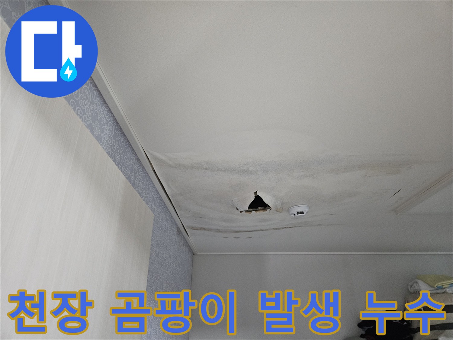 아랫집 천장 곰팡이 발생 - 누수 장기화로 인한 건강 악영향 우려