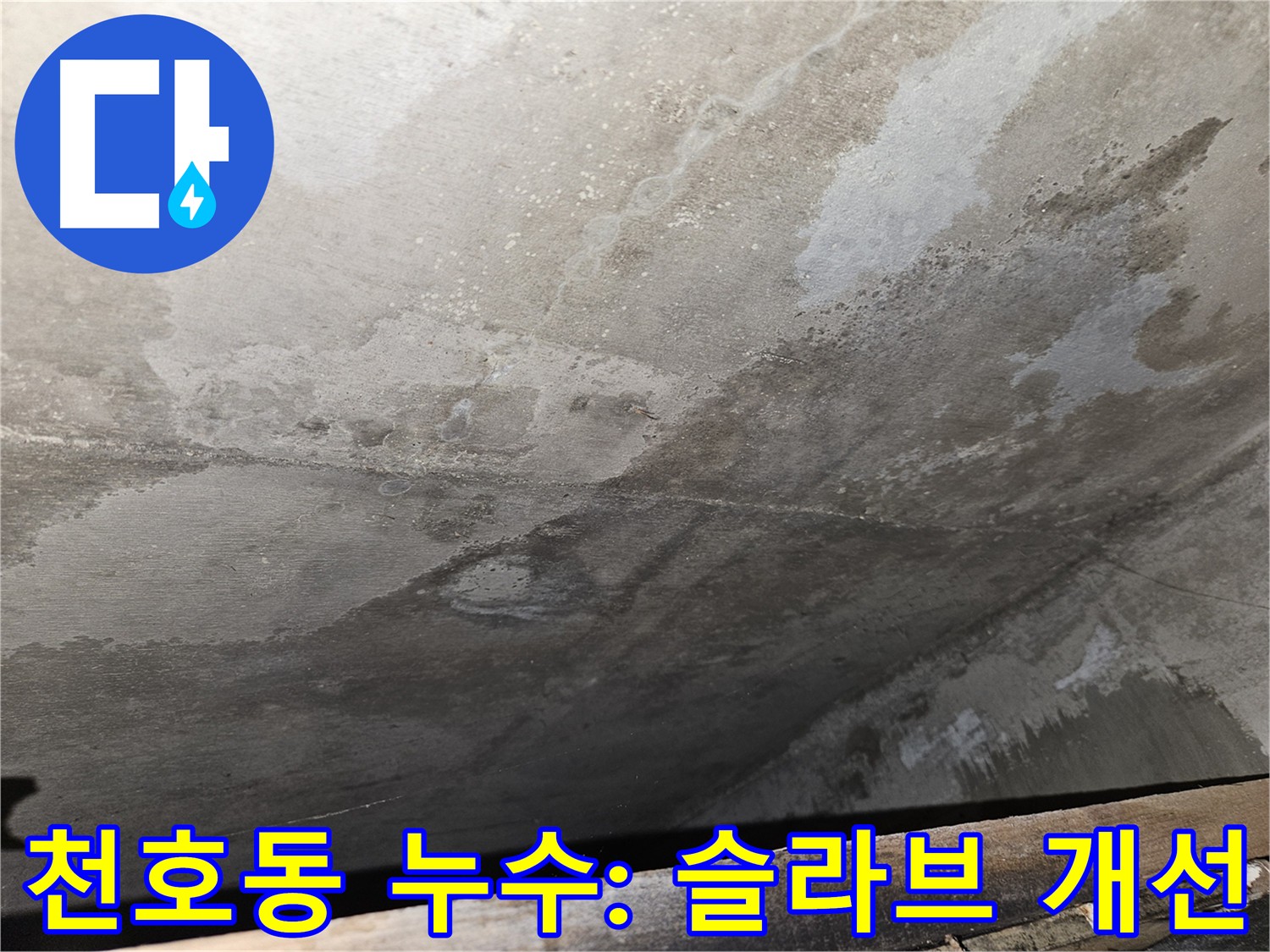 강동구 천호동 슬라브 습윤 상태 개선 - 쾌적한 환경 조성 및 건강과 안전 확보