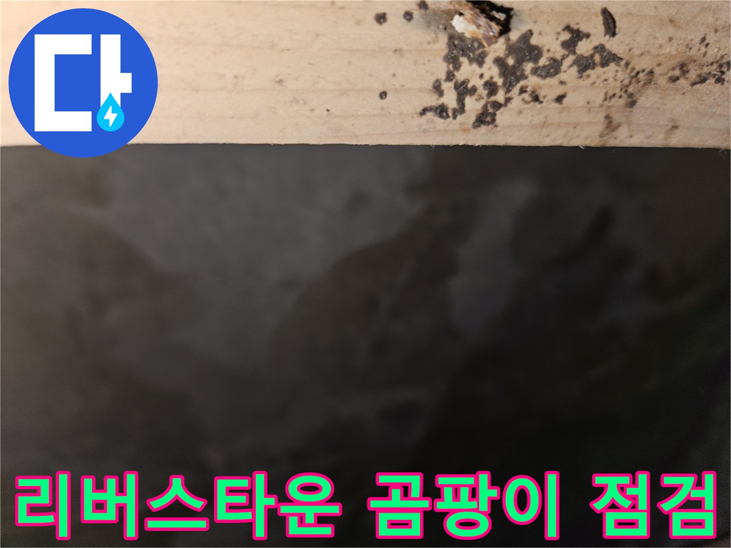 천호동 리버스타운 누수 - 곰팡이 상태 점검 - 첨단 장비 사용