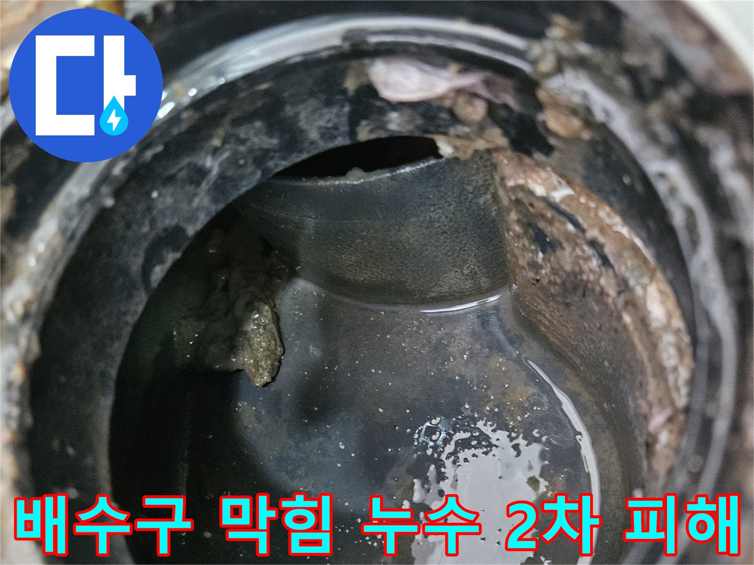 배수구 막힘과 누수 - 2차 피해 예방이 중요합니다