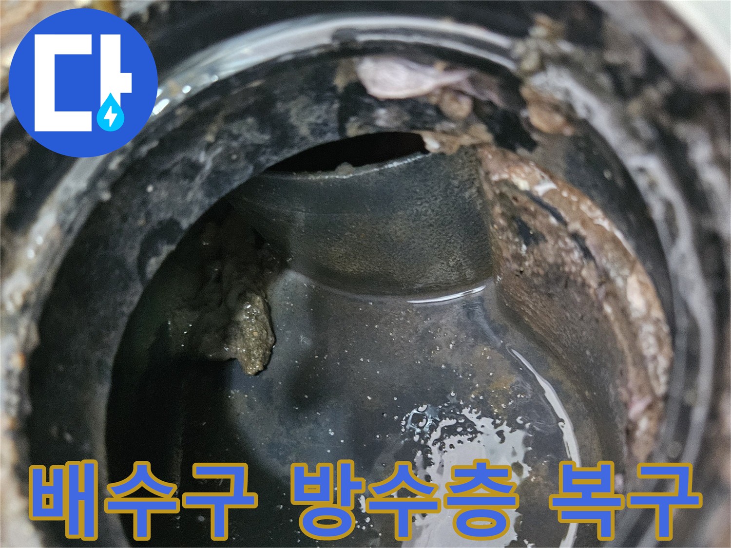배수구 방수층 손상 복구 작업으로 누수 해결