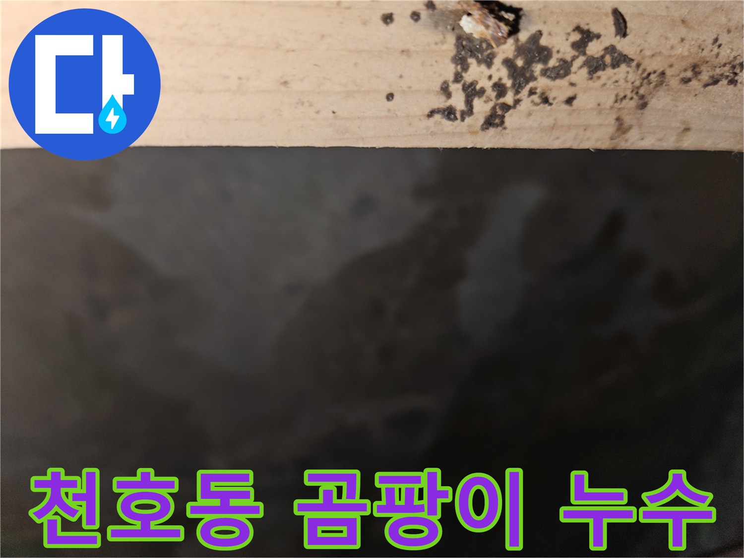 천호동 573 누수 흔적 - 곰팡이 발생 - 원인 파악 시급